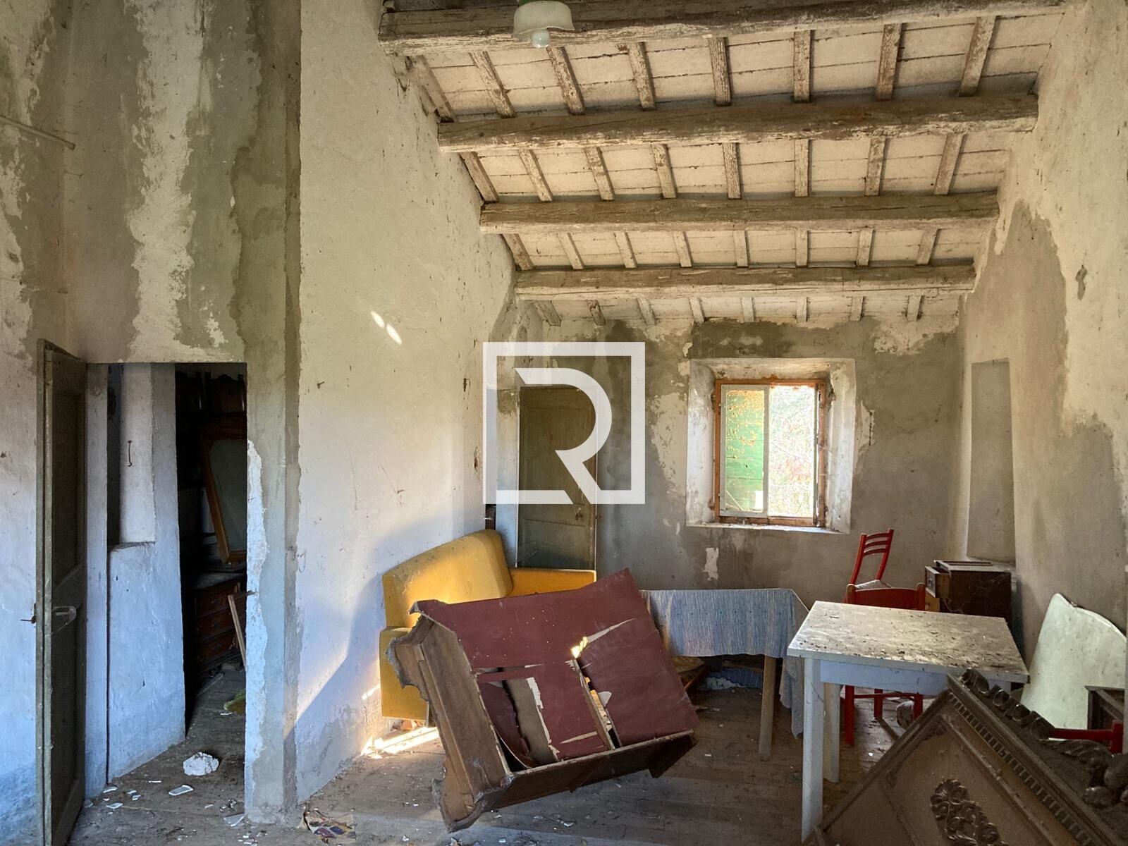 WhatsApp Image 2026-01-26 at 18.19.51