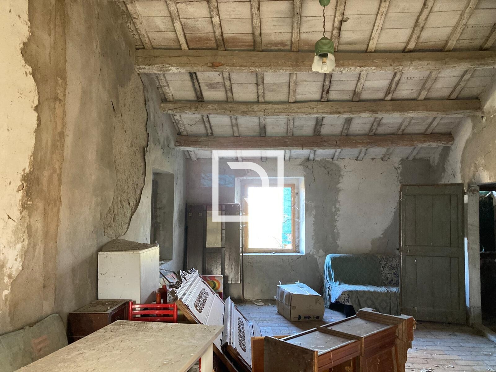 WhatsApp Image 2026-01-26 at 18.19.55