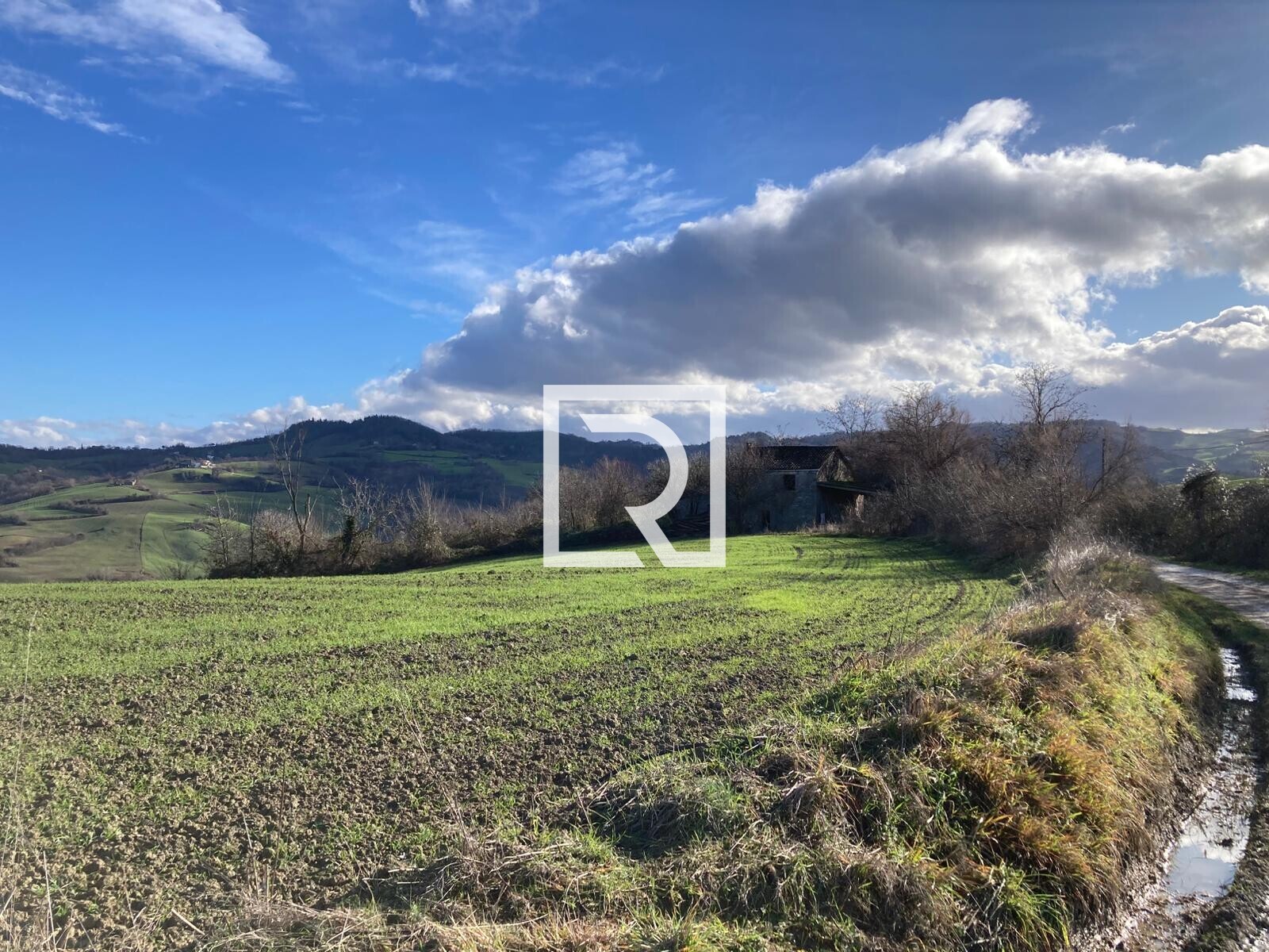 WhatsApp Image 2026-01-26 at 18.19.39