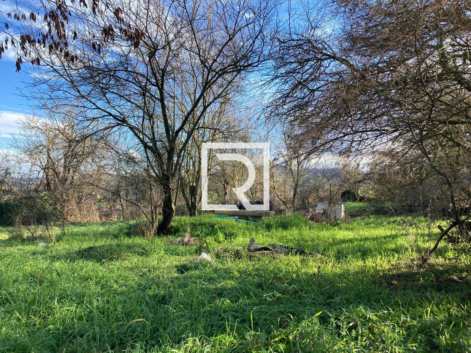 WhatsApp Image 2026-01-26 at 18.19.49 (1)