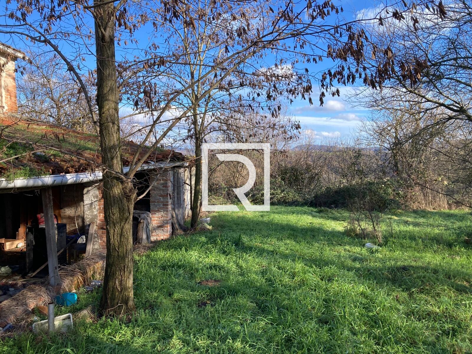 WhatsApp Image 2026-01-26 at 18.19.48 (6)