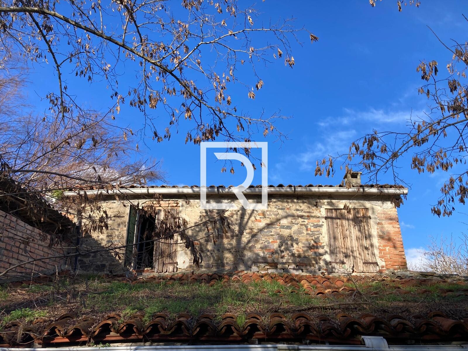 WhatsApp Image 2026-01-26 at 18.19.57