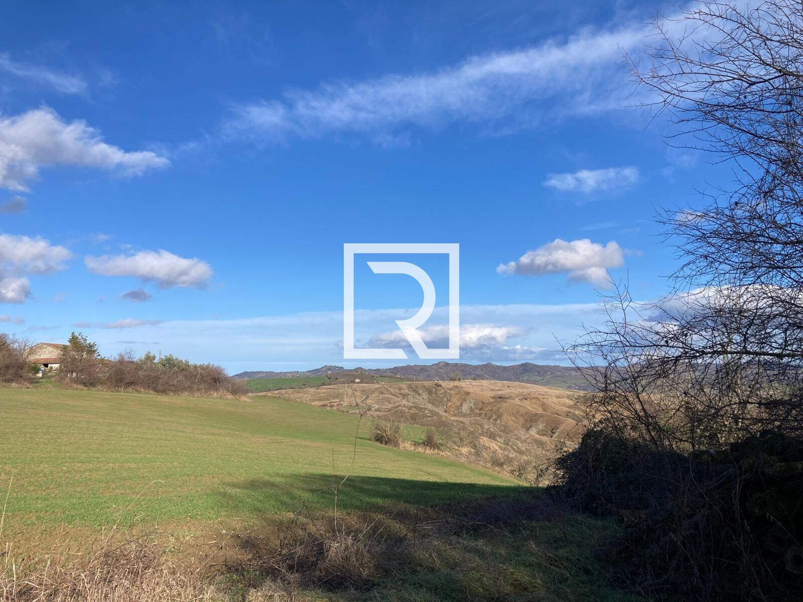 WhatsApp Image 2026-01-26 at 18.20.04 (5)