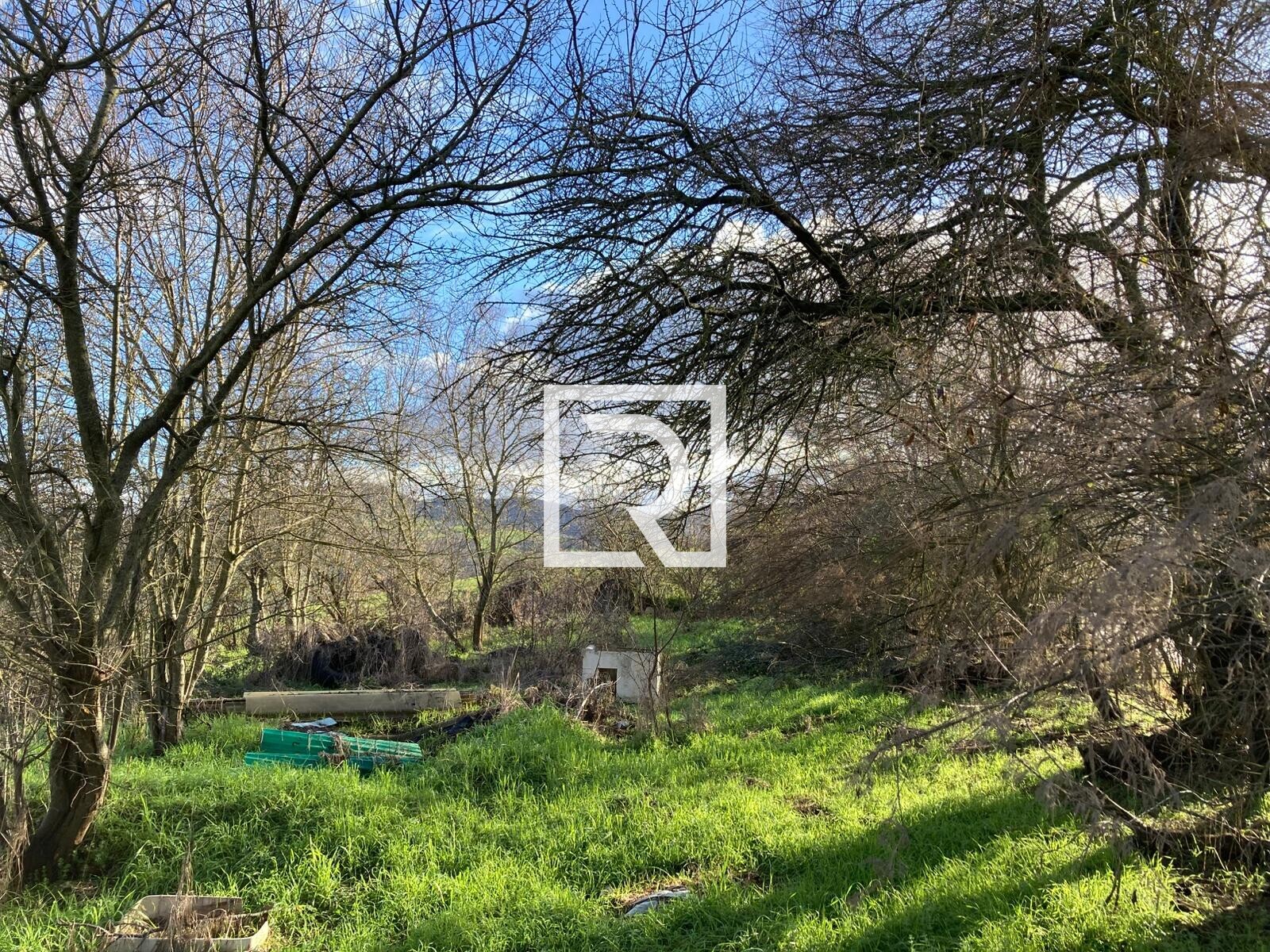 WhatsApp Image 2026-01-26 at 18.20.03