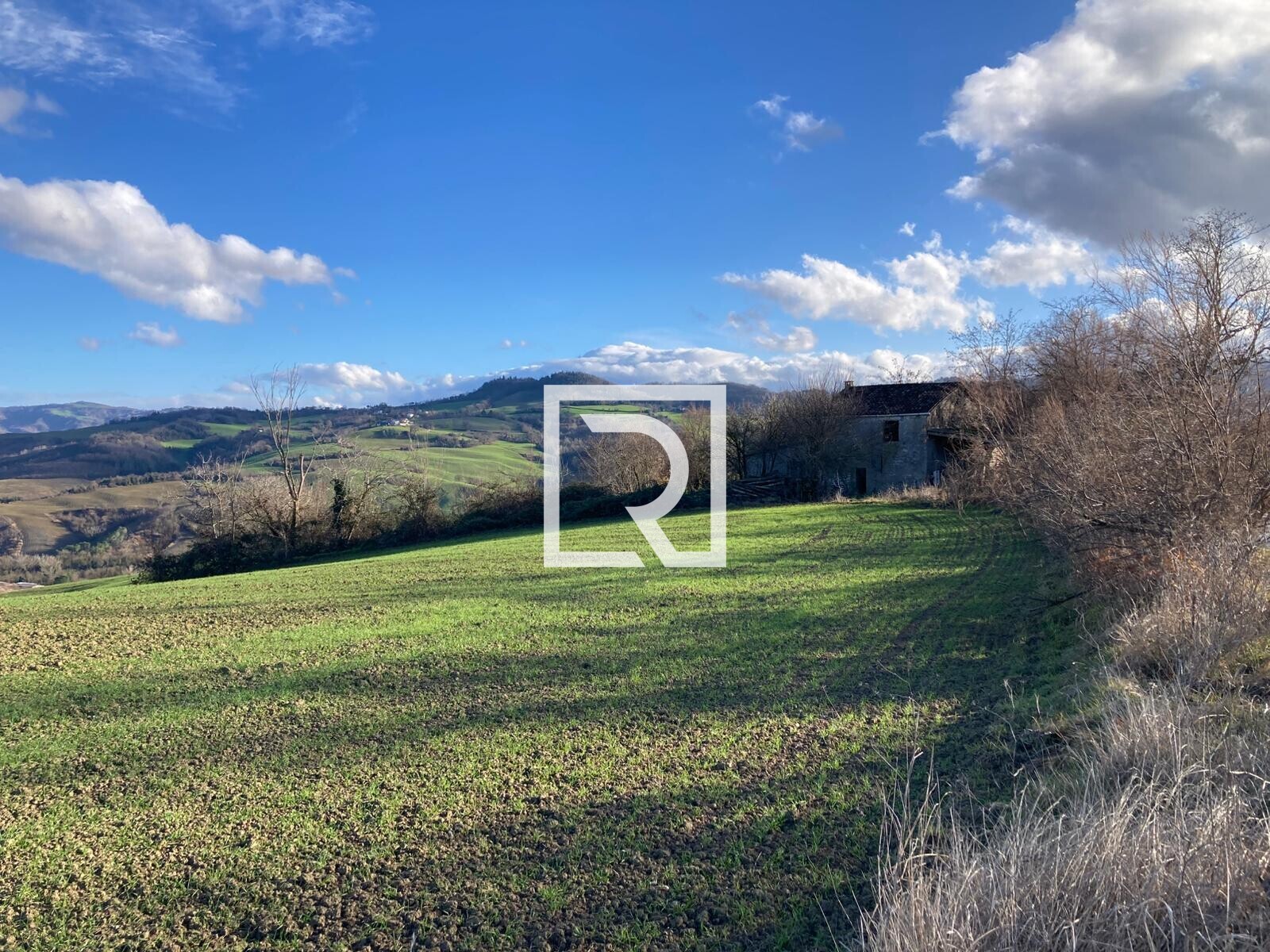 WhatsApp Image 2026-01-26 at 18.20.18 (2)