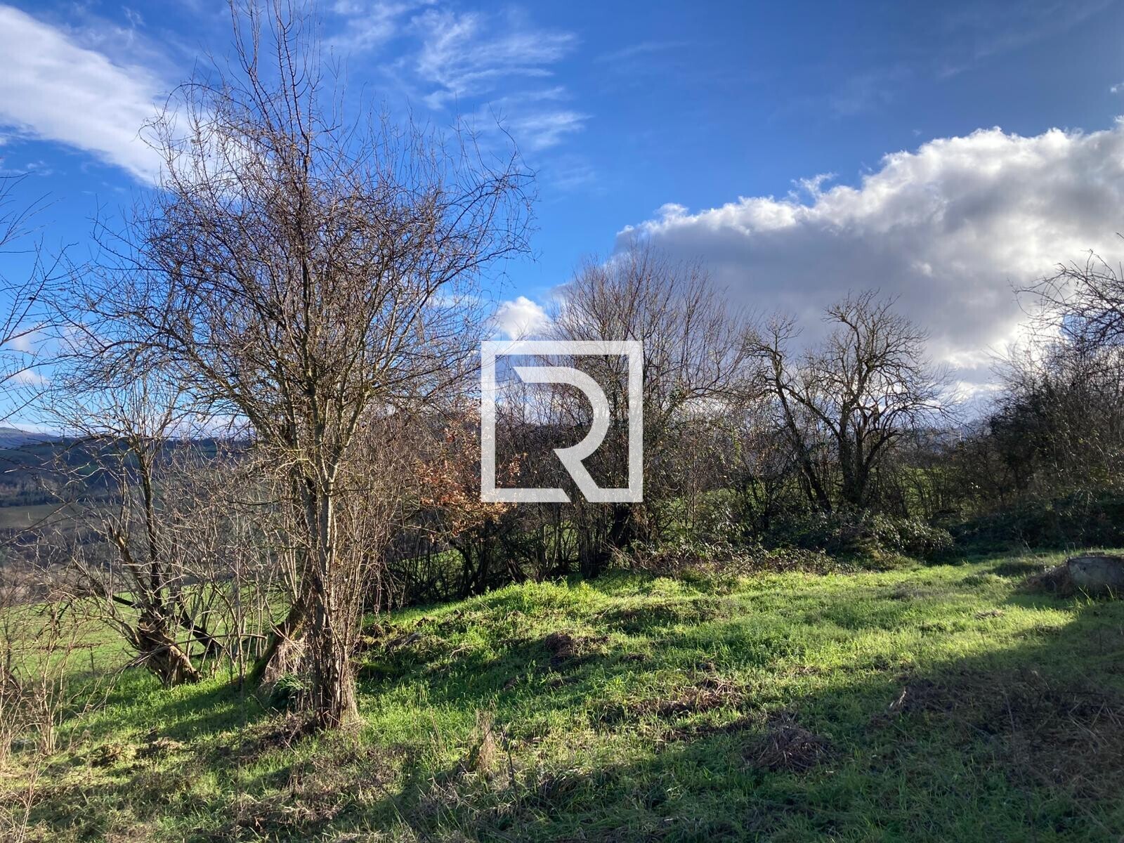 WhatsApp Image 2026-01-26 at 18.20.04 (1)