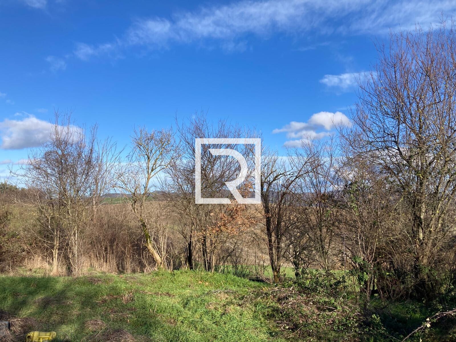 WhatsApp Image 2026-01-26 at 18.20.04