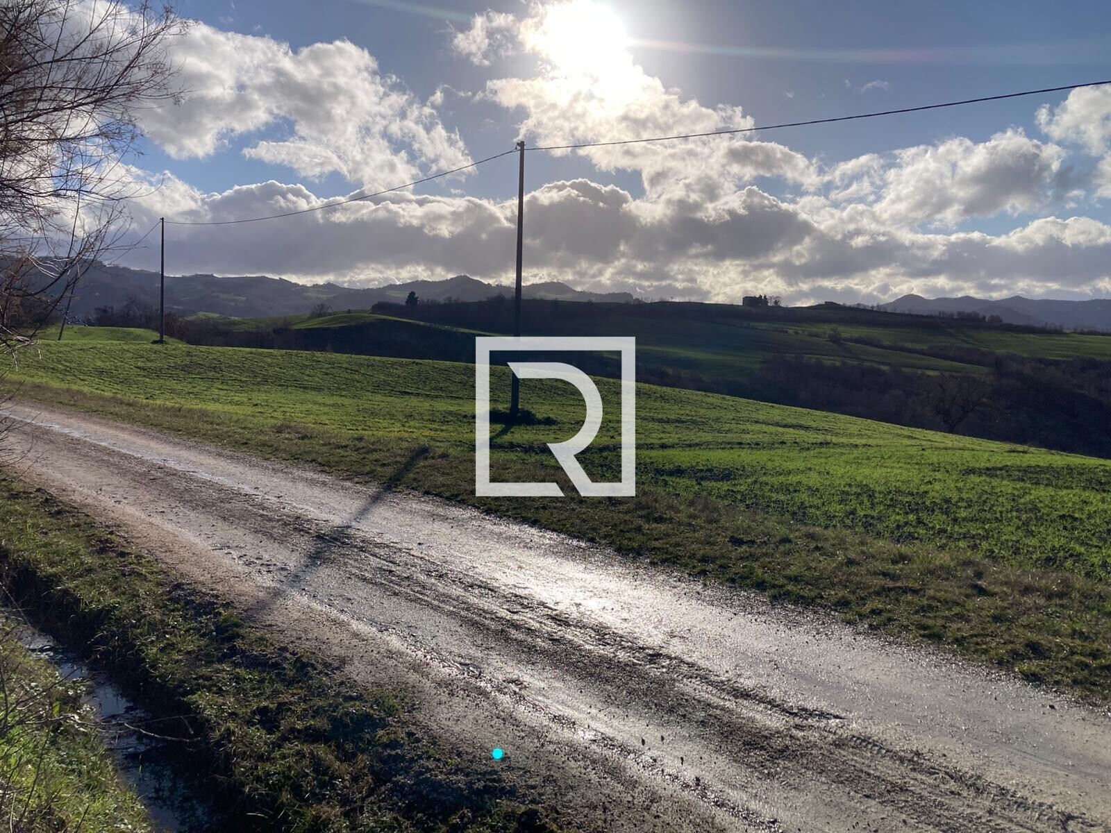 WhatsApp Image 2026-01-26 at 18.20.09