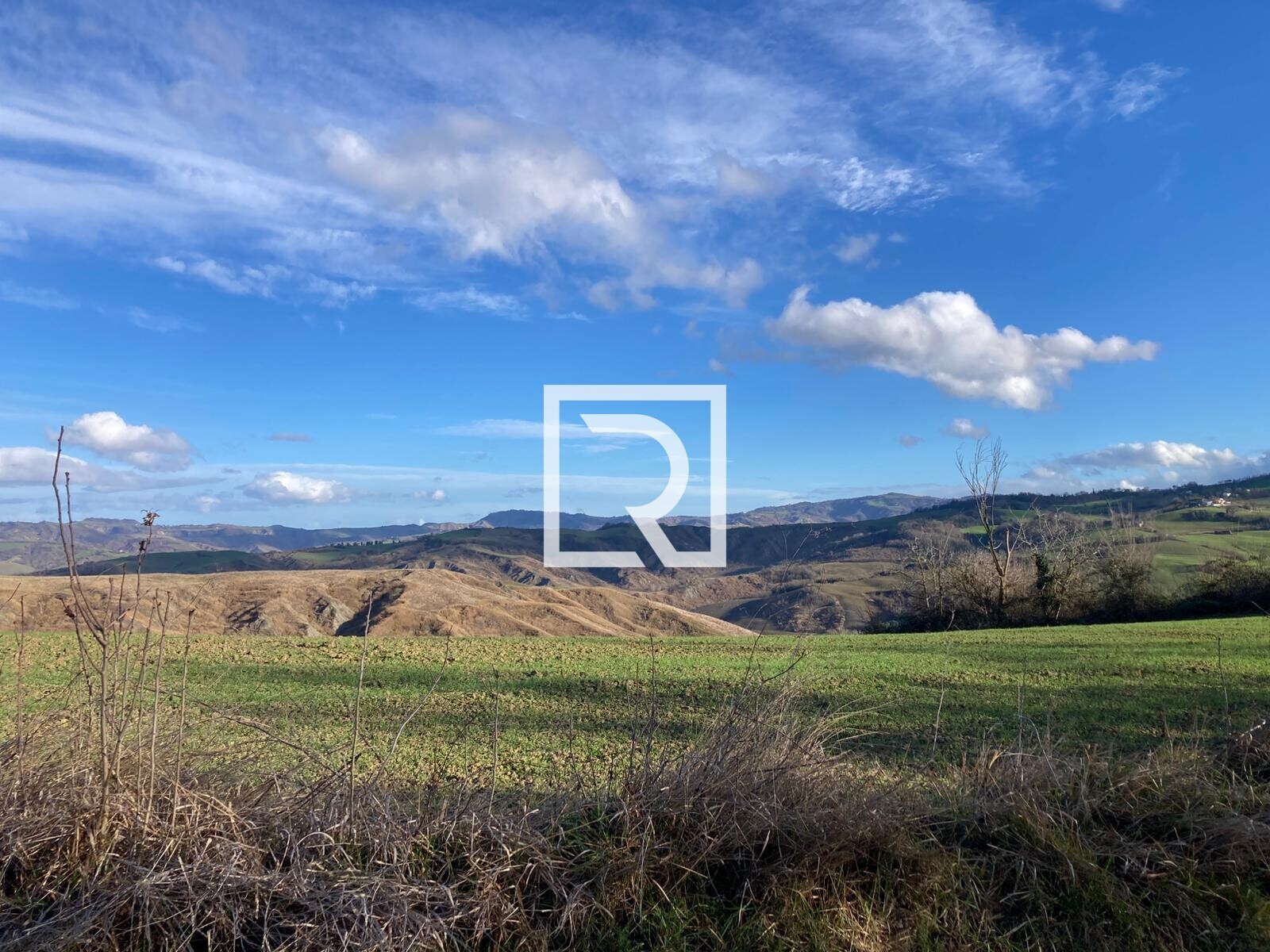 WhatsApp Image 2026-01-26 at 18.20.18 (1)