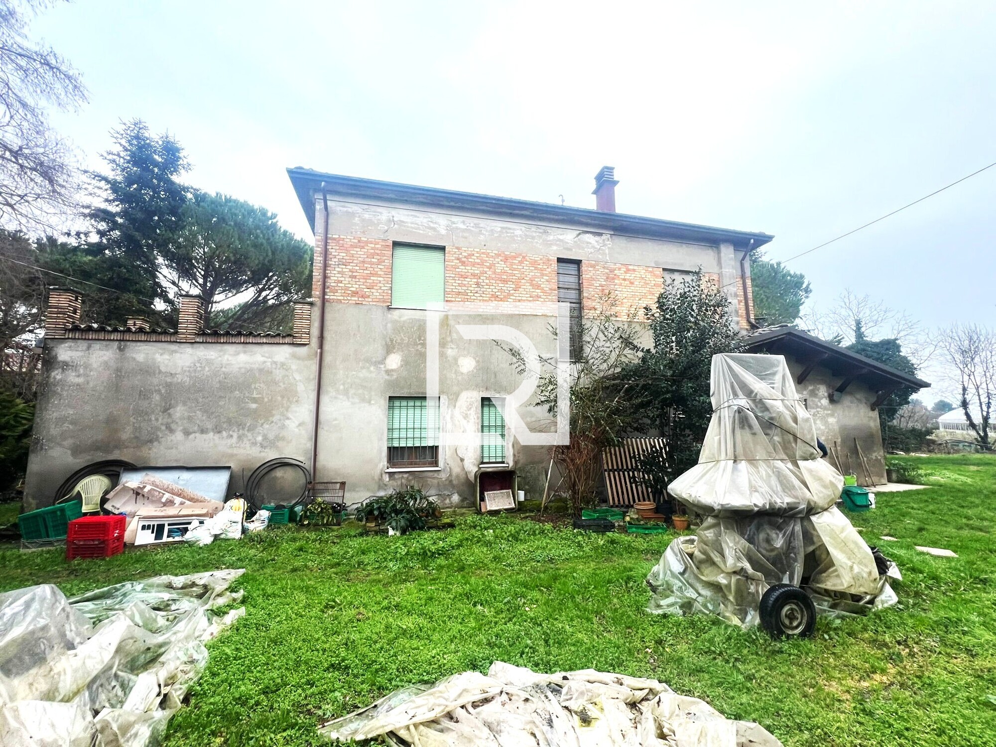 WhatsApp Image 2026-01-27 at 16.51.57