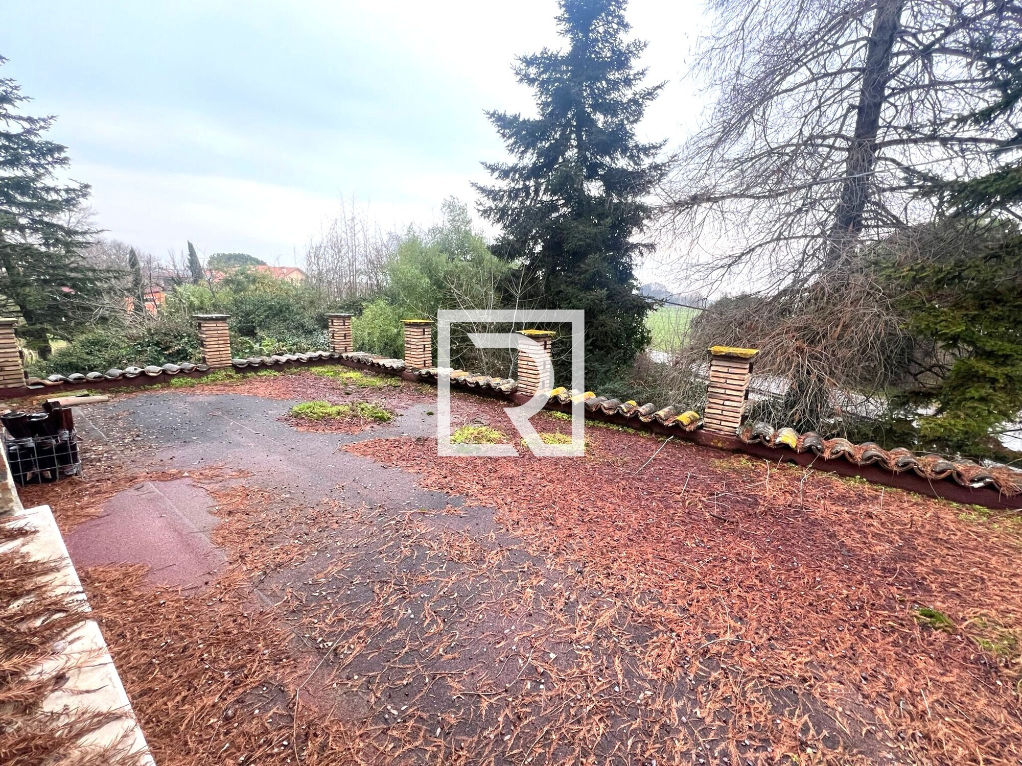 WhatsApp Image 2026-01-27 at 16.51.59 (2)