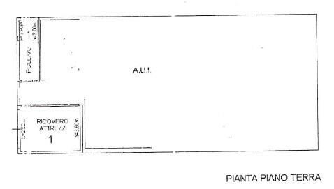 Immagine 2026-01-27 175546