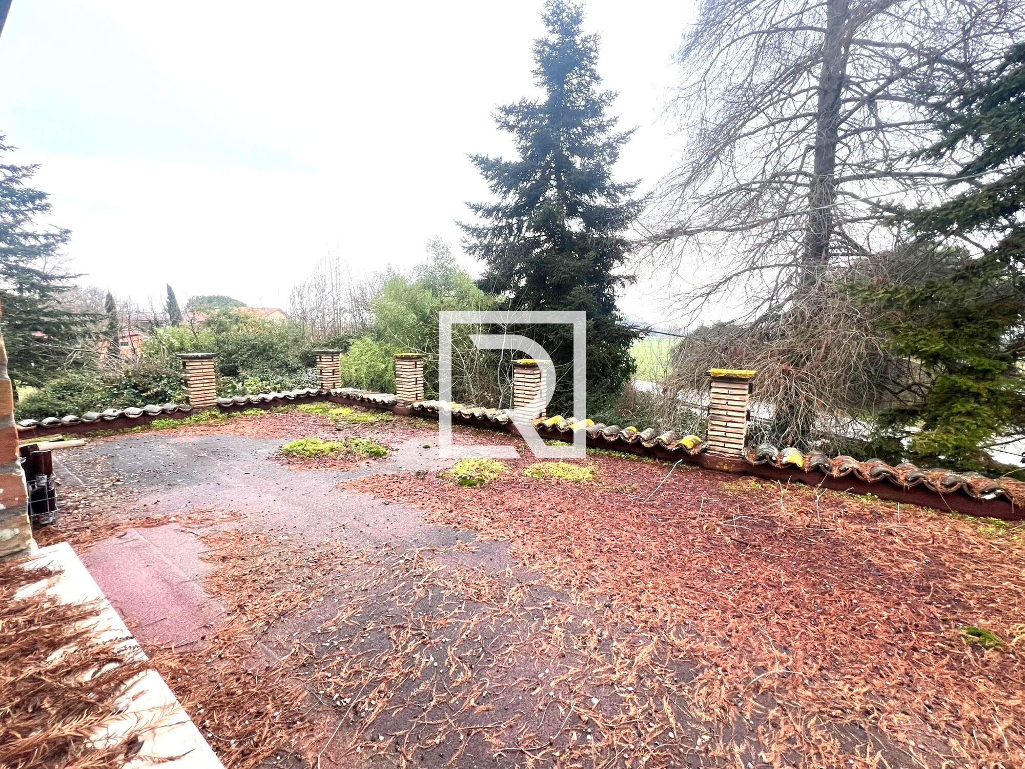 WhatsApp Image 2026-01-27 at 16.51.59 (3)