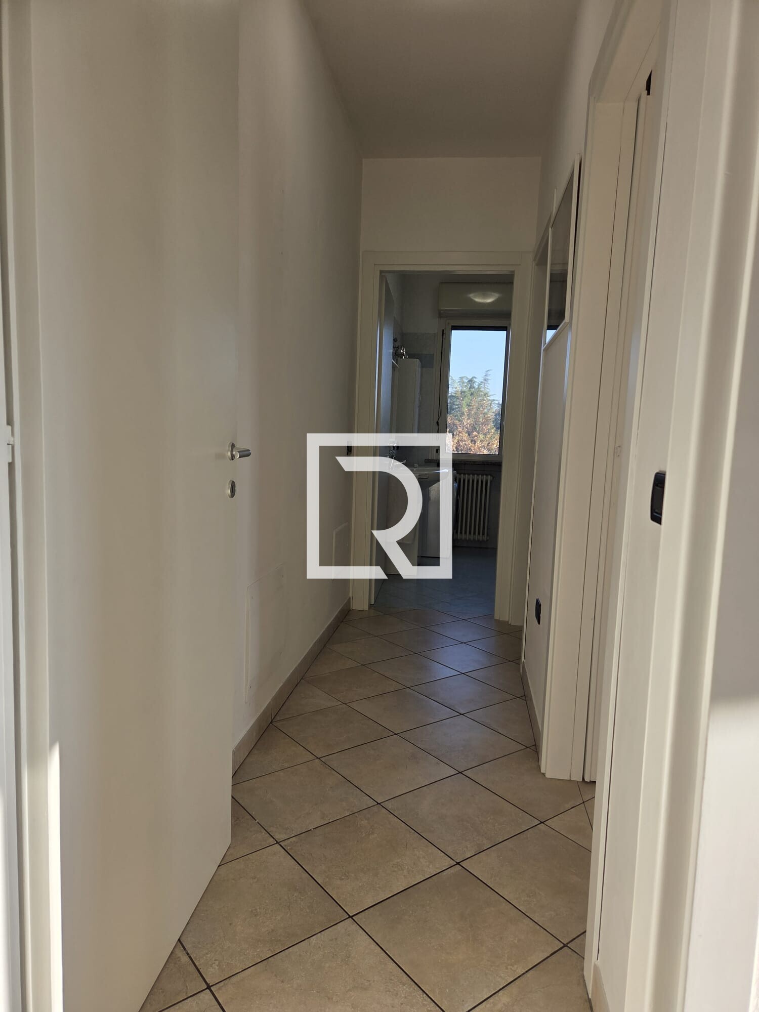 WhatsApp Image 2026-02-16 at 11.46.35 (7)