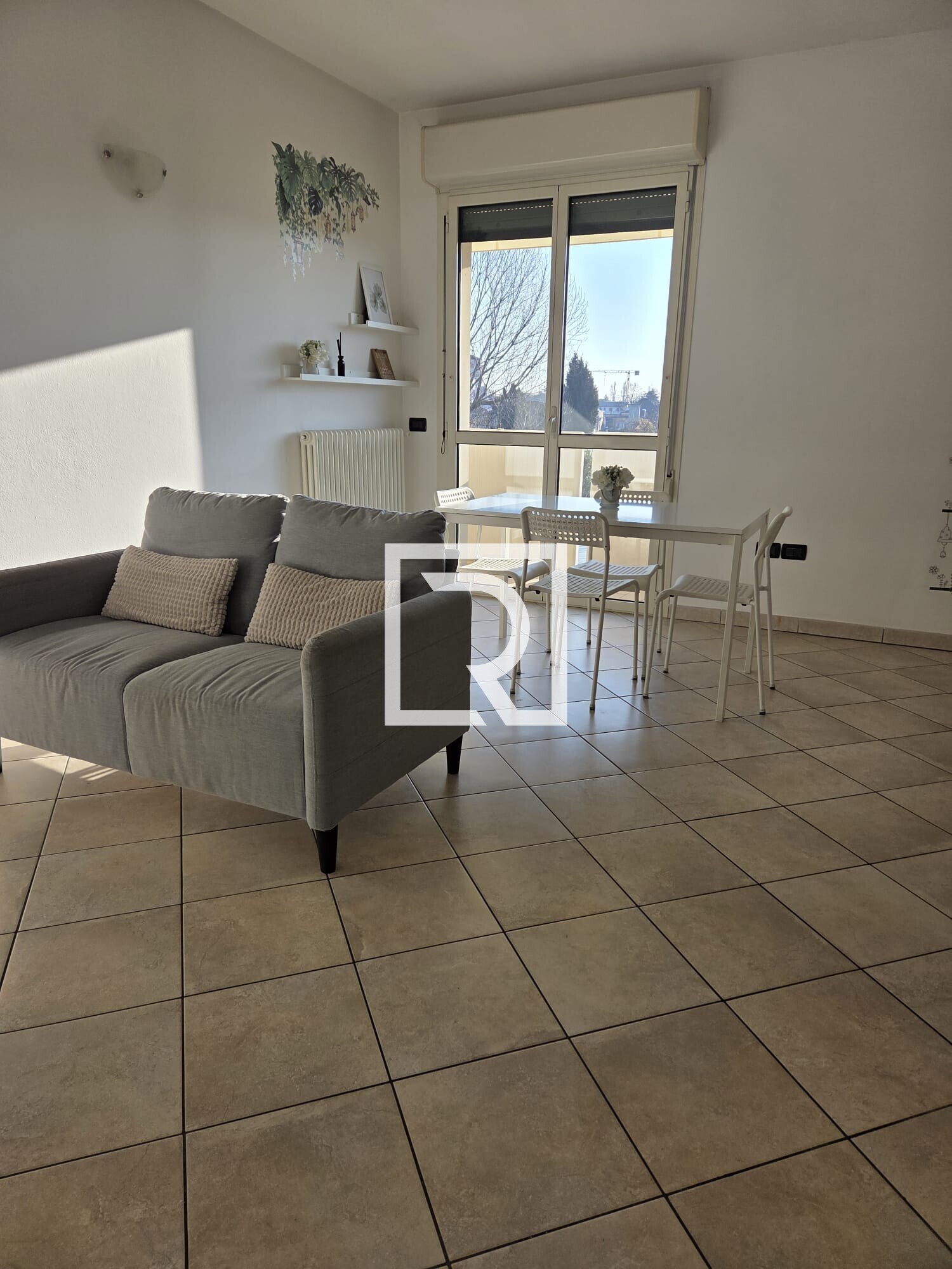 WhatsApp Image 2026-02-16 at 11.46.35 (6)