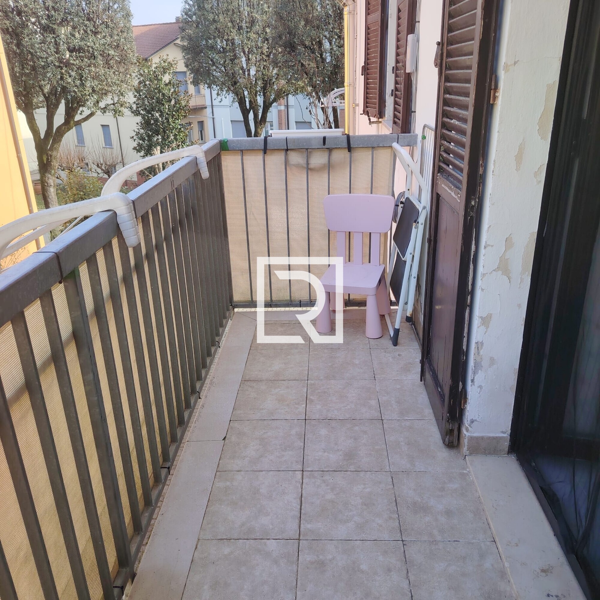 WhatsApp Image 2026-02-23 at 15.28.59 (3)