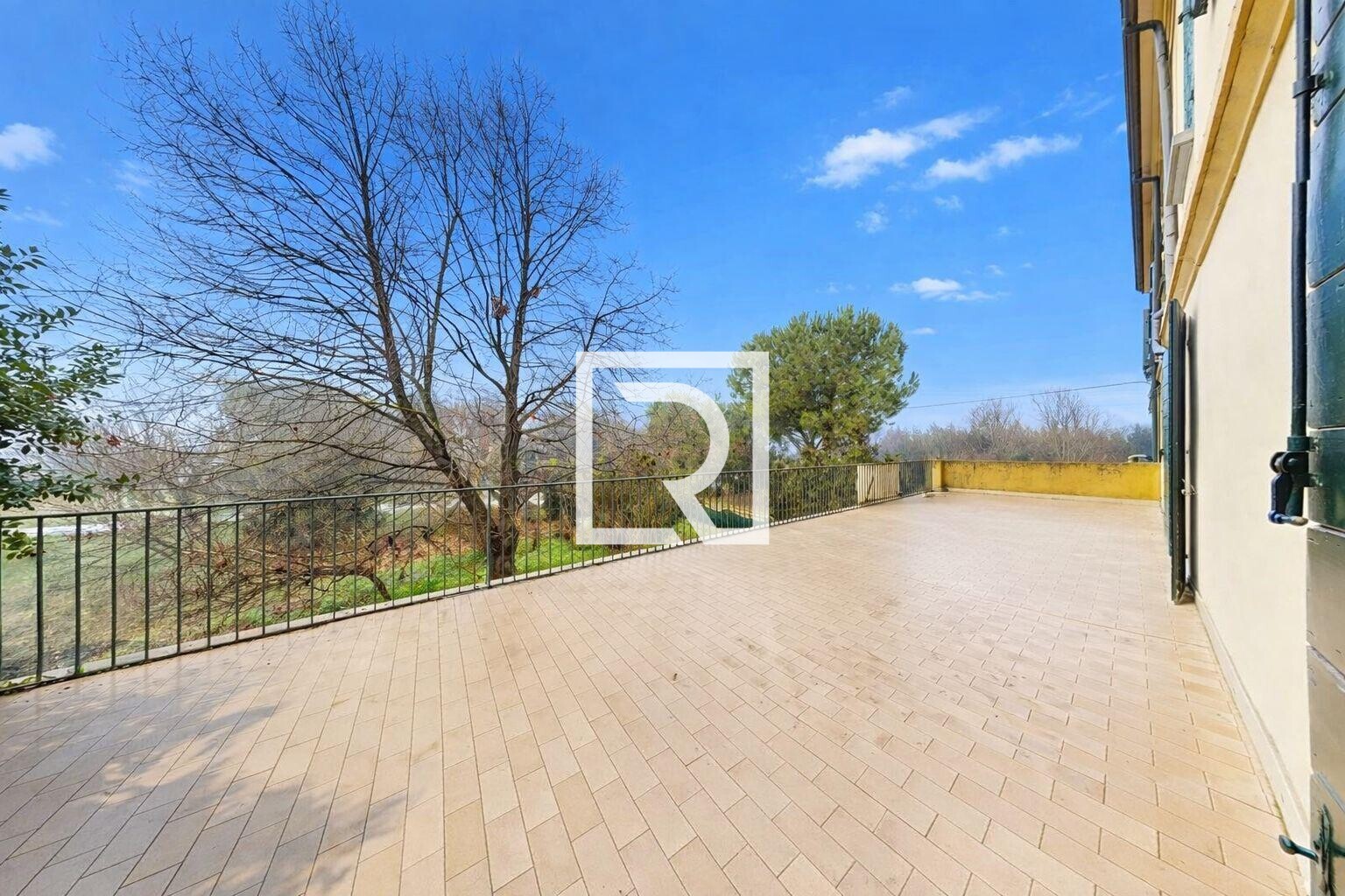 WhatsApp Image 2026-02-04 at 12.11.45