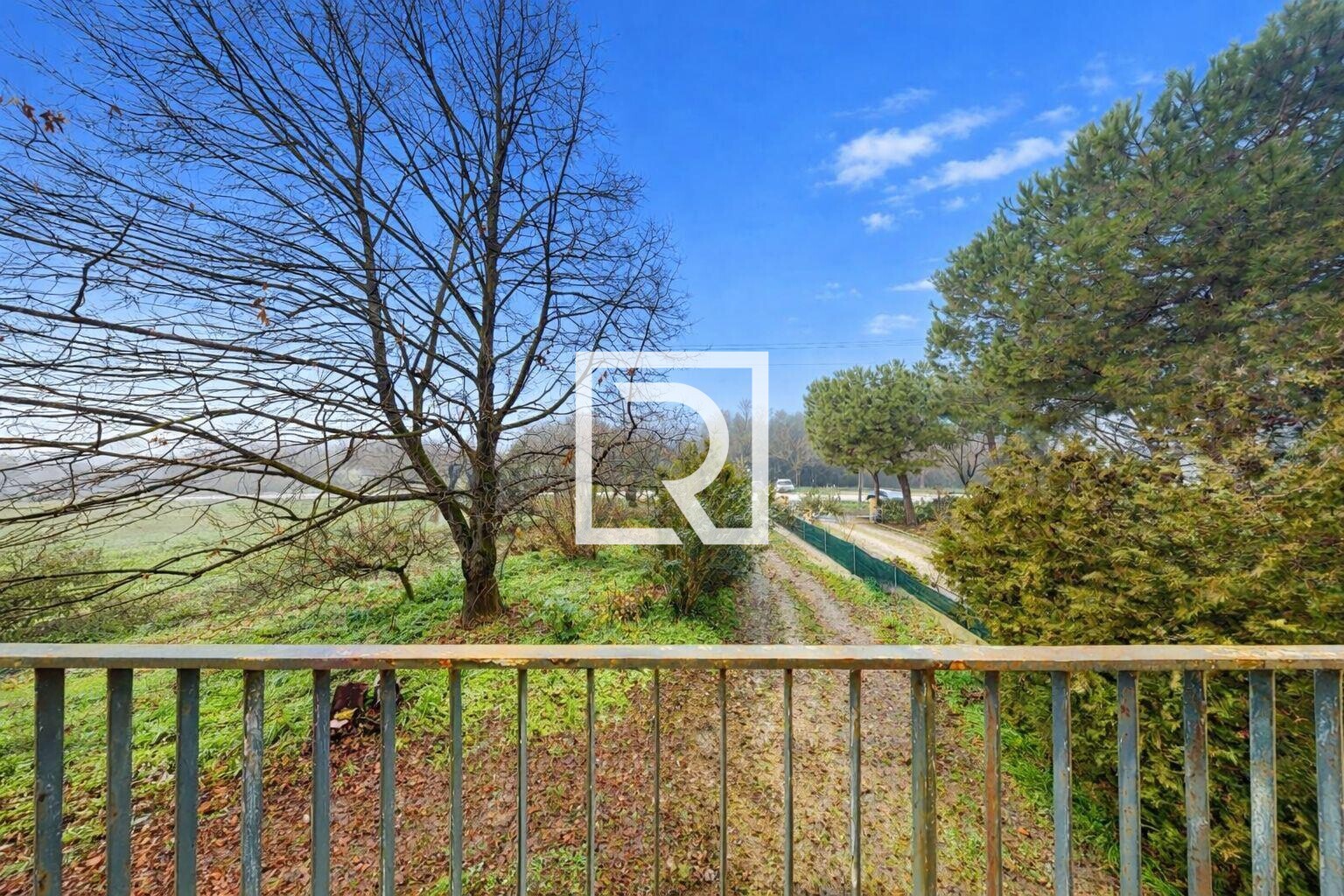 WhatsApp Image 2026-02-04 at 12.11.47