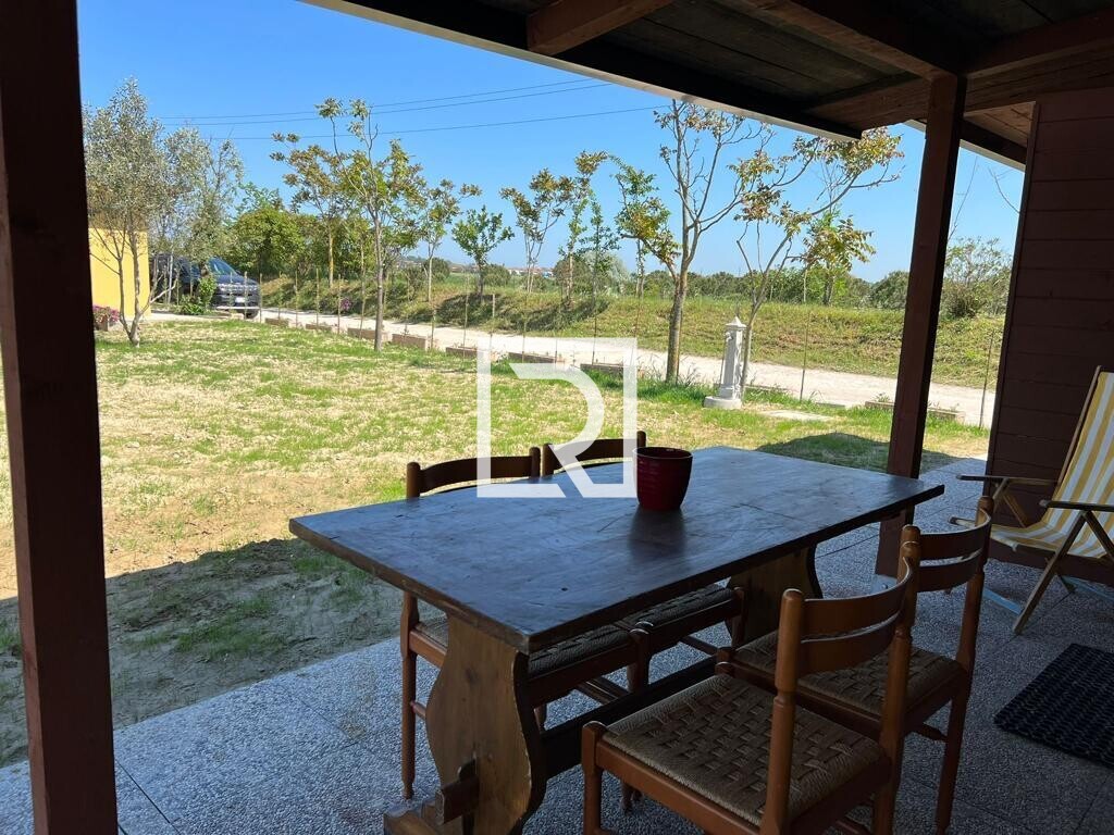 WhatsApp Image 2026-02-02 at 10.21.21 (4)