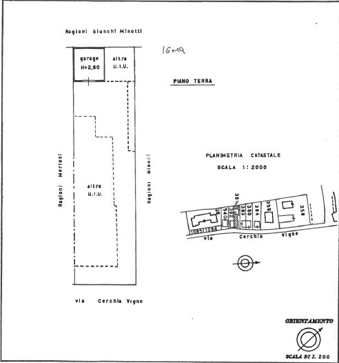 Immagine 2026-02-19 124021