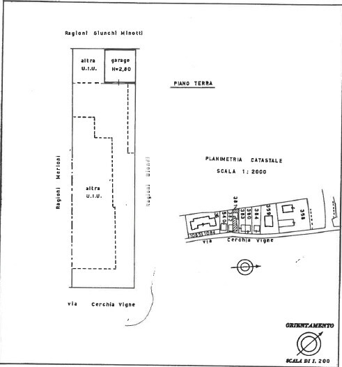 Immagine 2026-02-19 124107