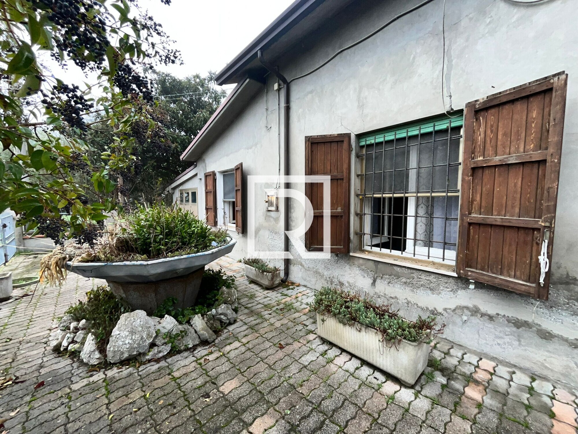 WhatsApp Image 2026-02-04 at 15.13.03 (1)