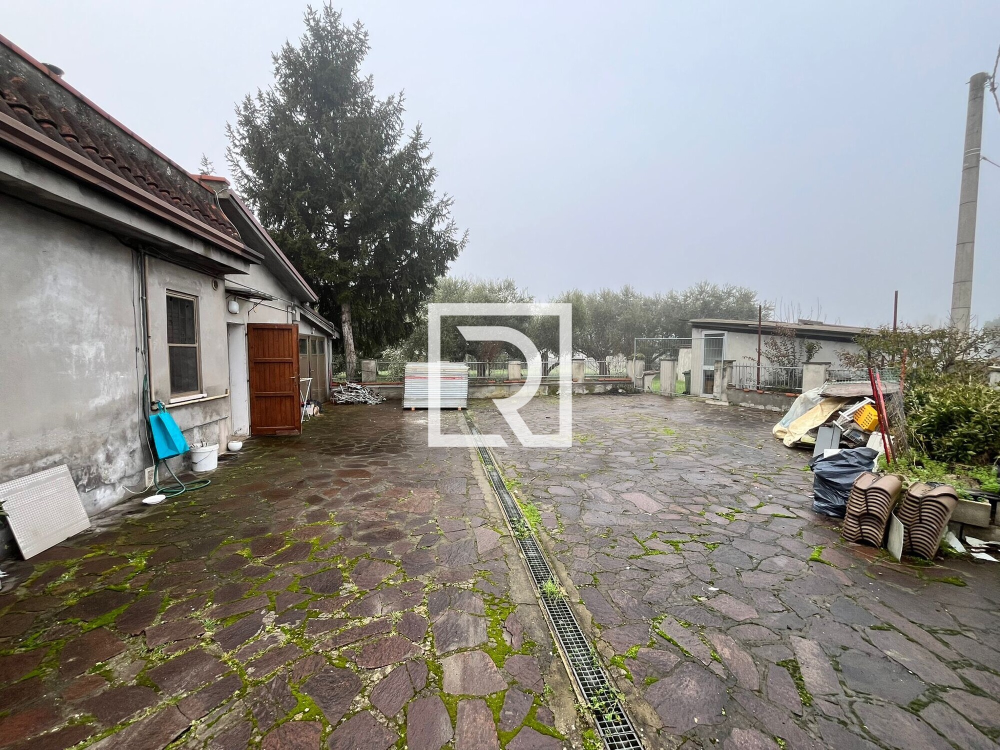 WhatsApp Image 2026-02-04 at 15.13.15 (1)