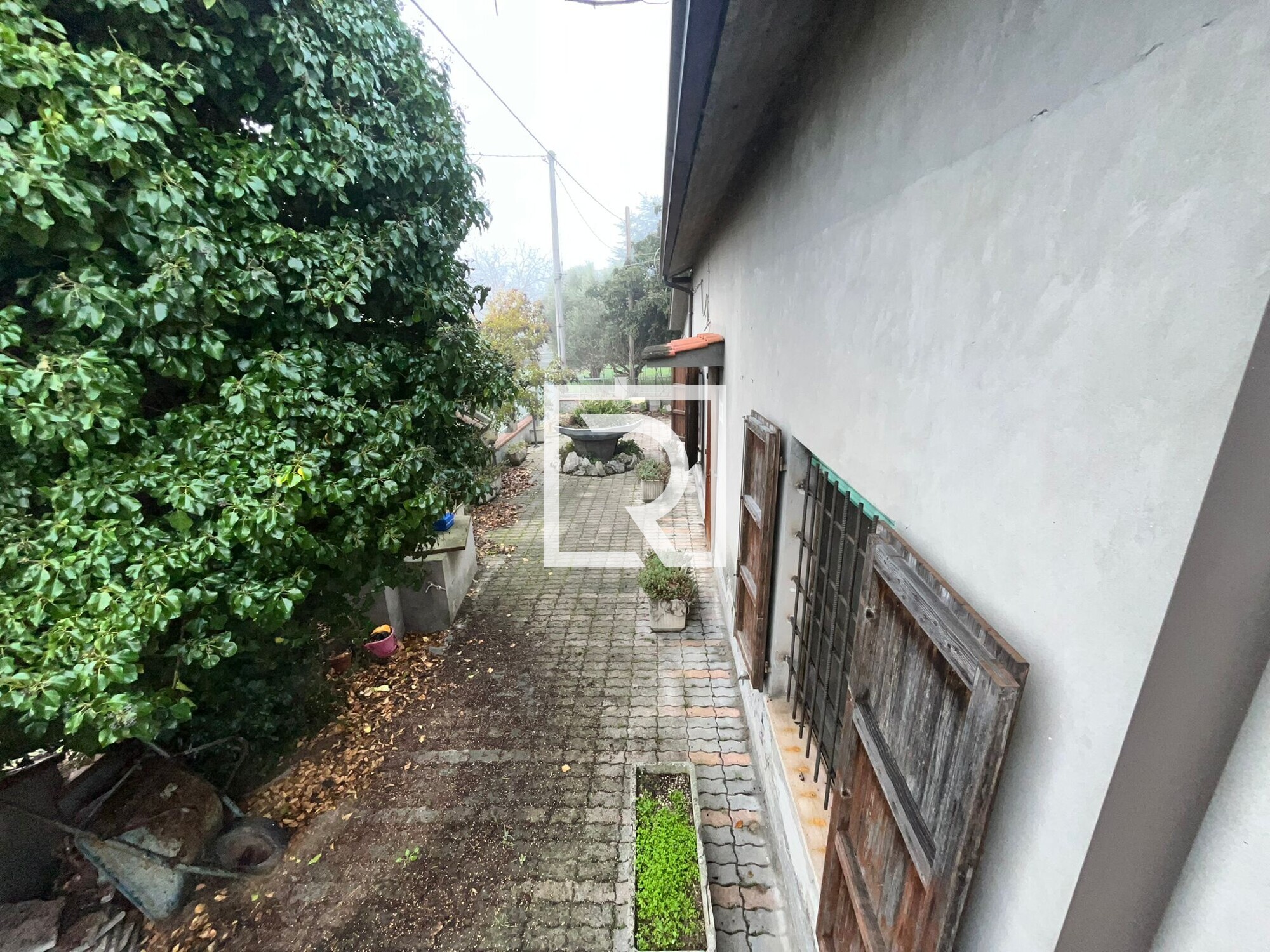 WhatsApp Image 2026-02-04 at 15.13.00