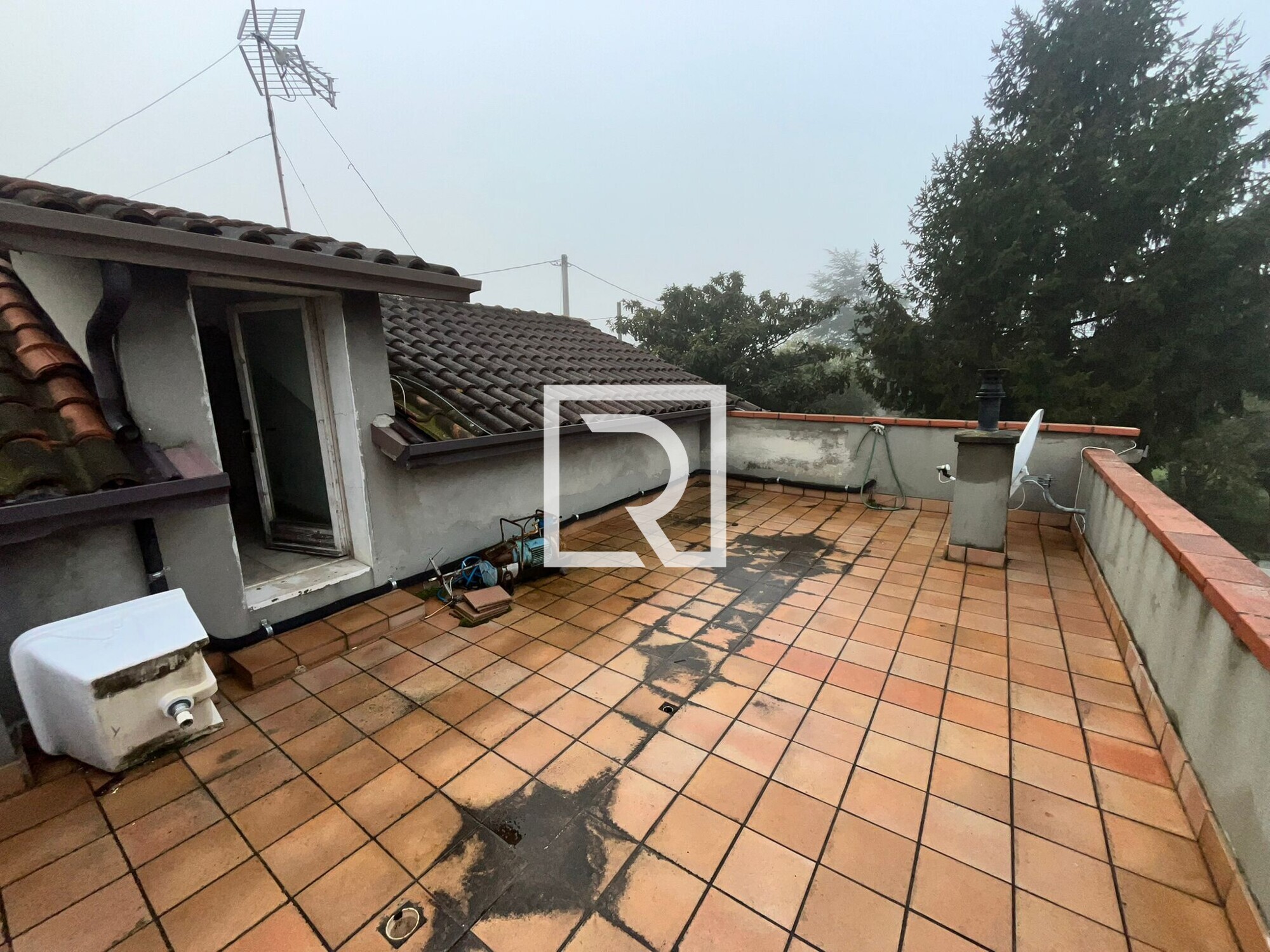 WhatsApp Image 2026-02-04 at 15.13.01