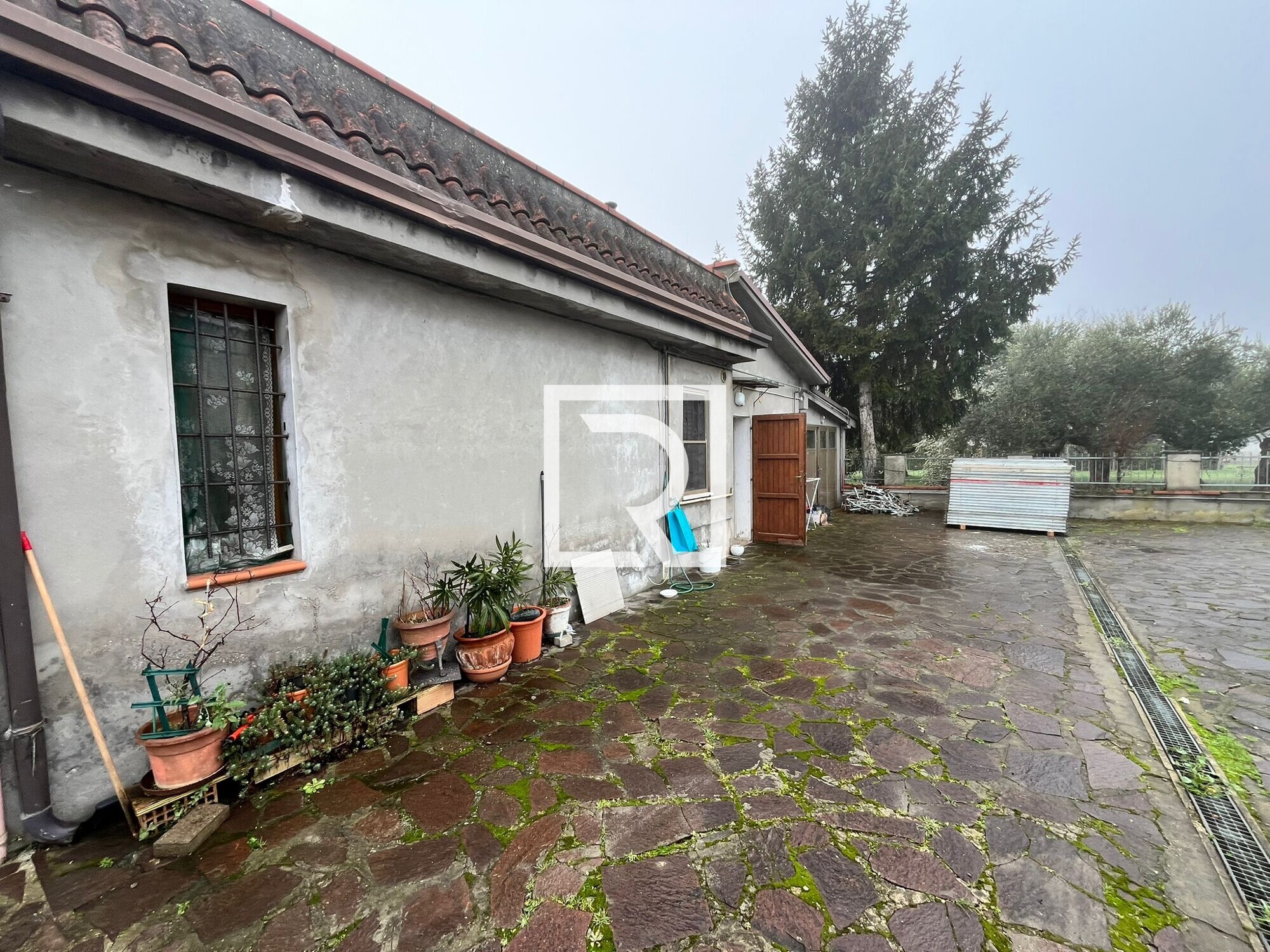 WhatsApp Image 2026-02-04 at 15.13.15 (2)