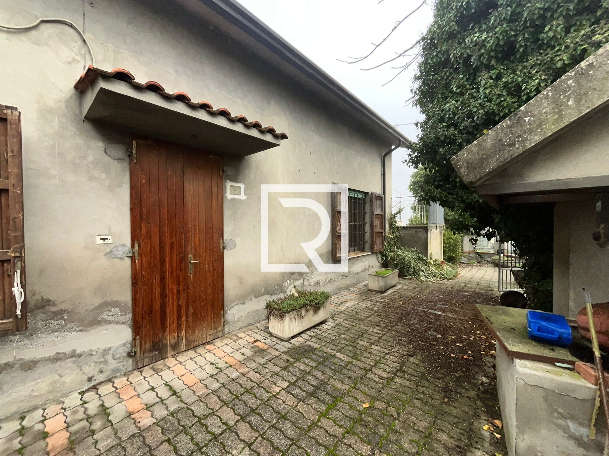 WhatsApp Image 2026-02-04 at 15.13.03