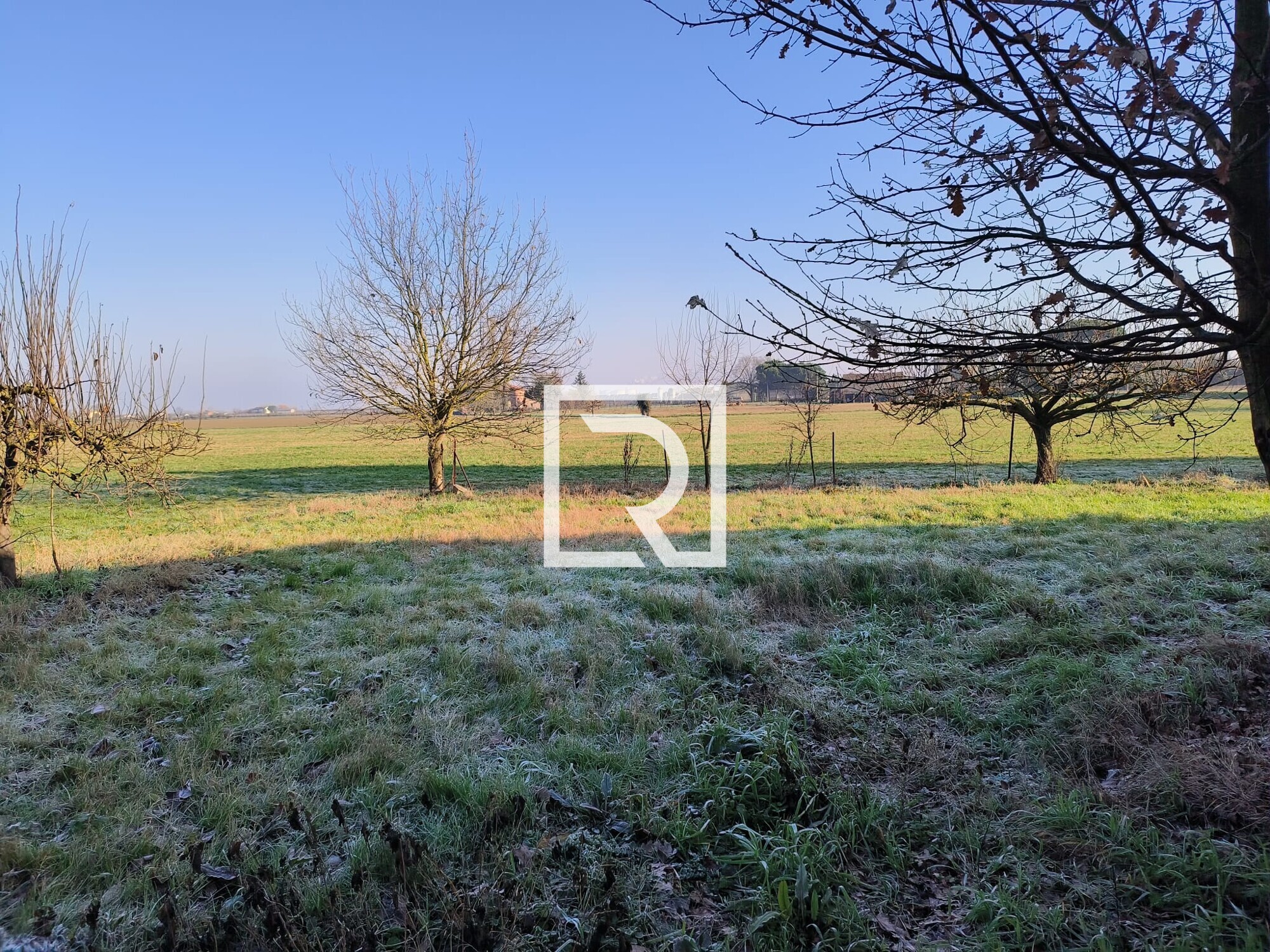 WhatsApp Image 2026-02-05 at 09.12.46 (30)