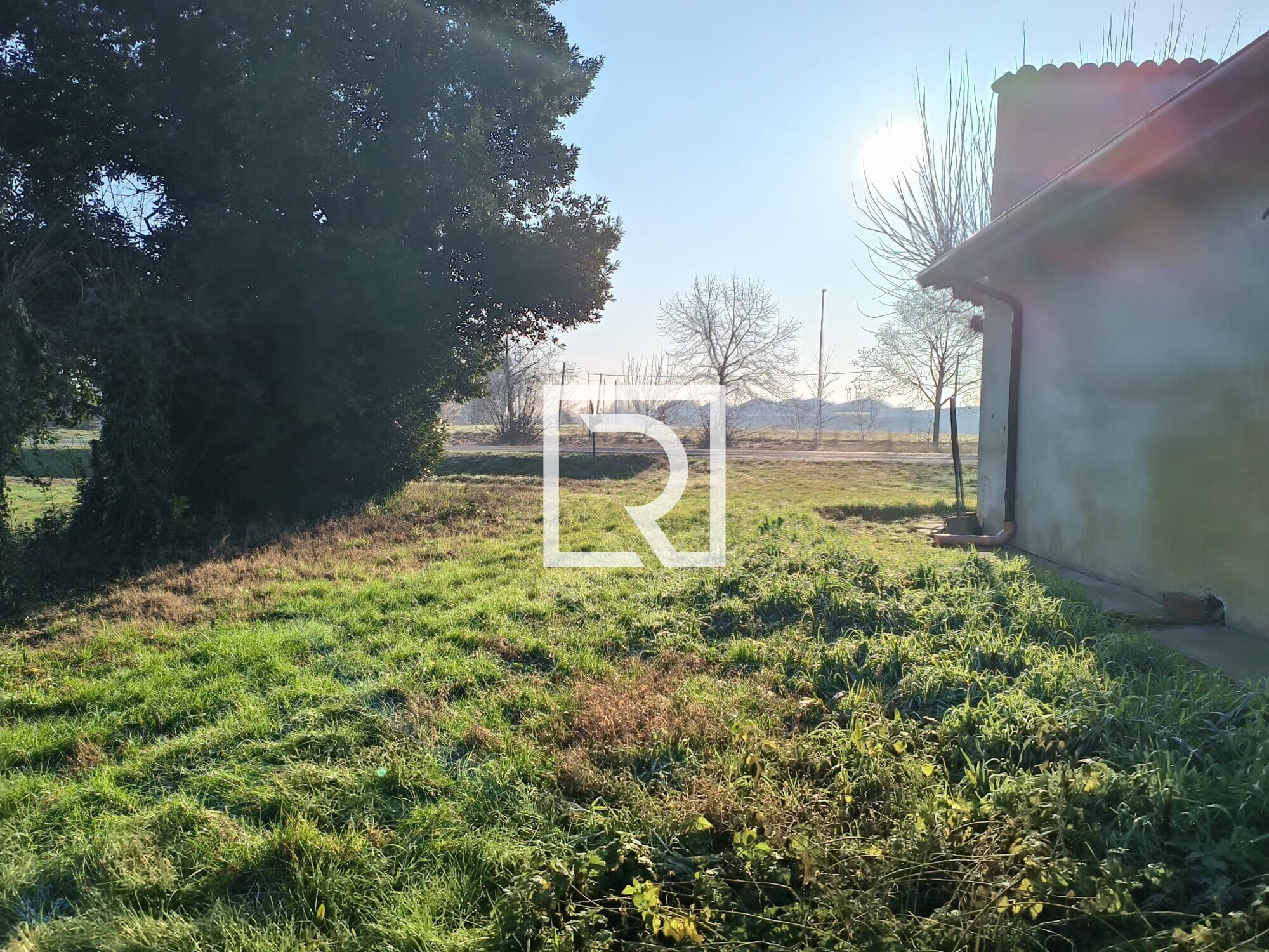 WhatsApp Image 2026-02-05 at 09.12.46 (19)