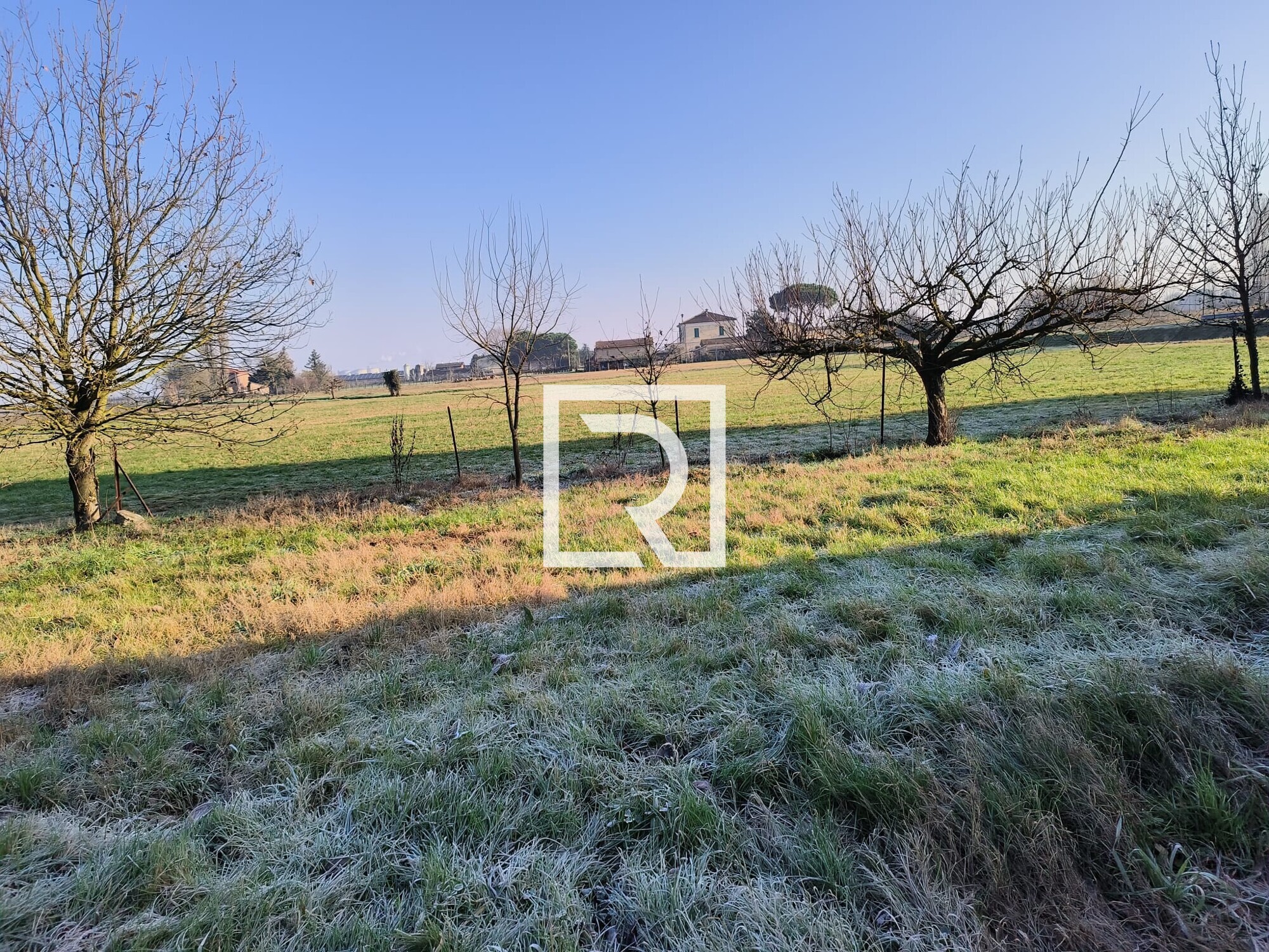 WhatsApp Image 2026-02-05 at 09.12.46 (27)