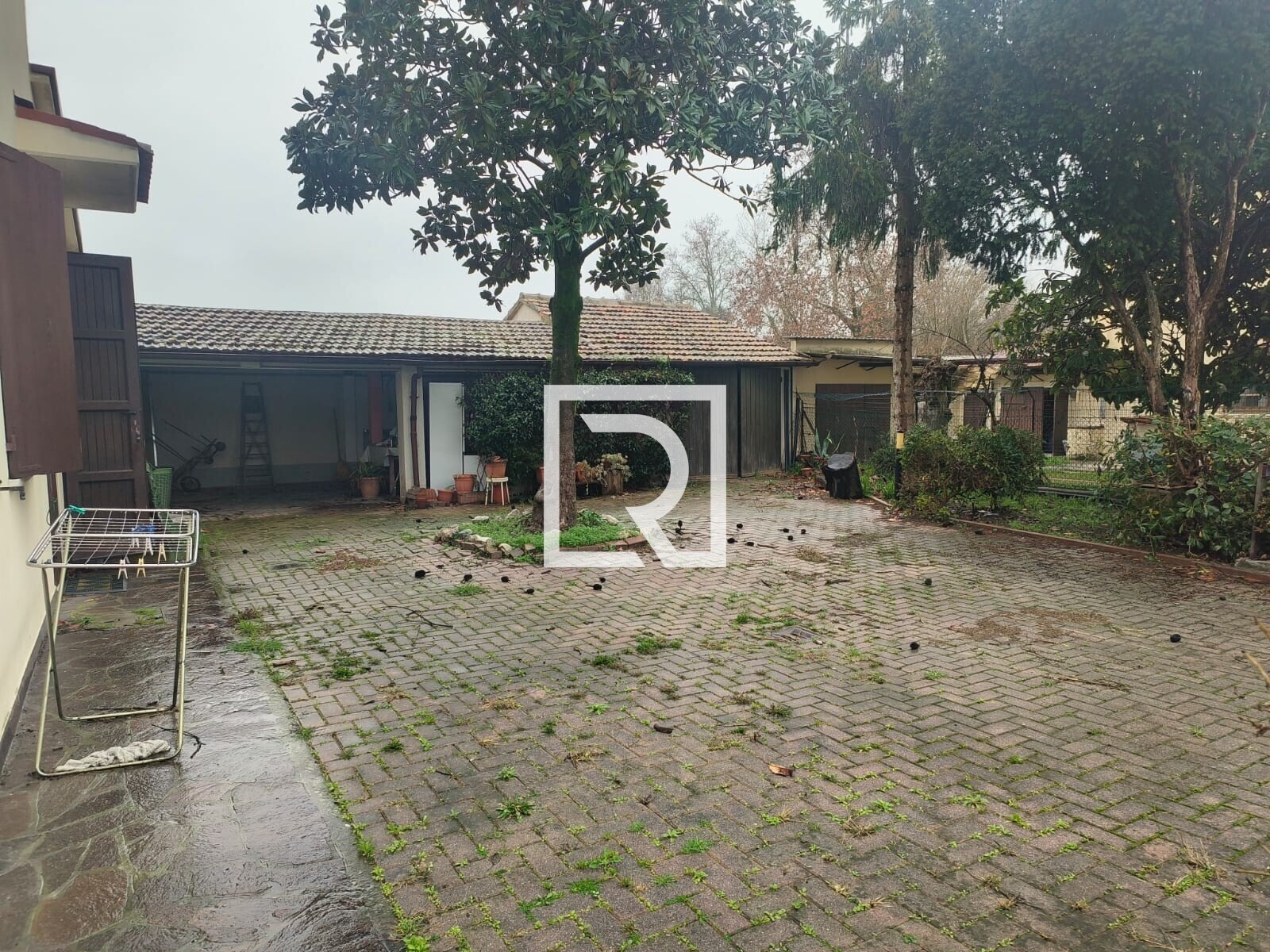 WhatsApp Image 2026-02-05 at 11.15.07 (1)