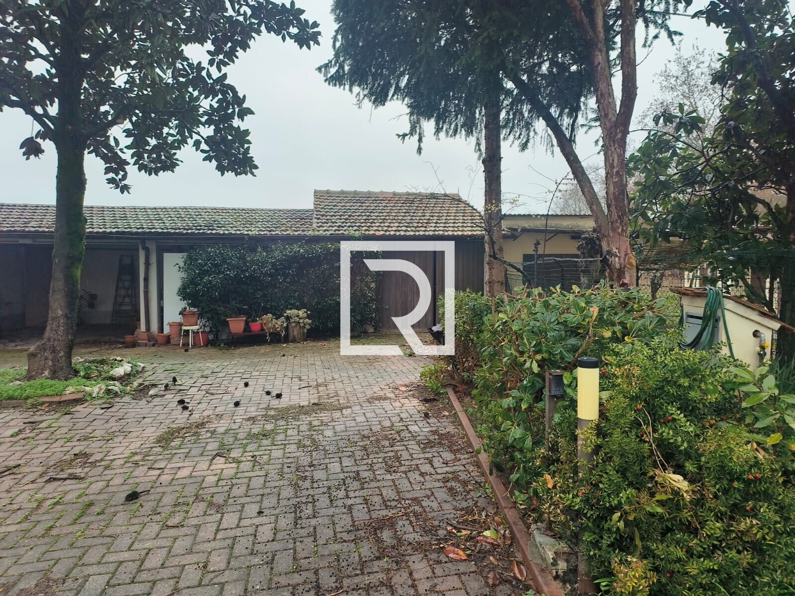 WhatsApp Image 2026-02-05 at 11.15.01