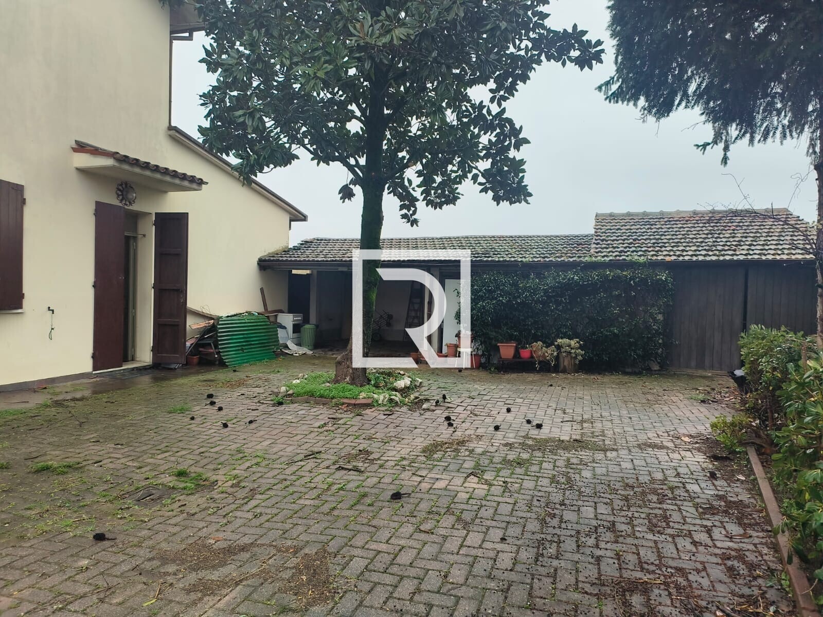 WhatsApp Image 2026-02-05 at 11.15.02