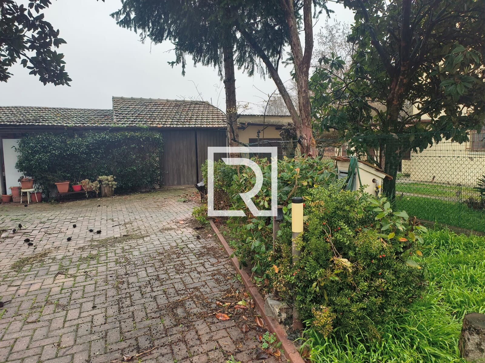 WhatsApp Image 2026-02-05 at 11.15.00 (2)