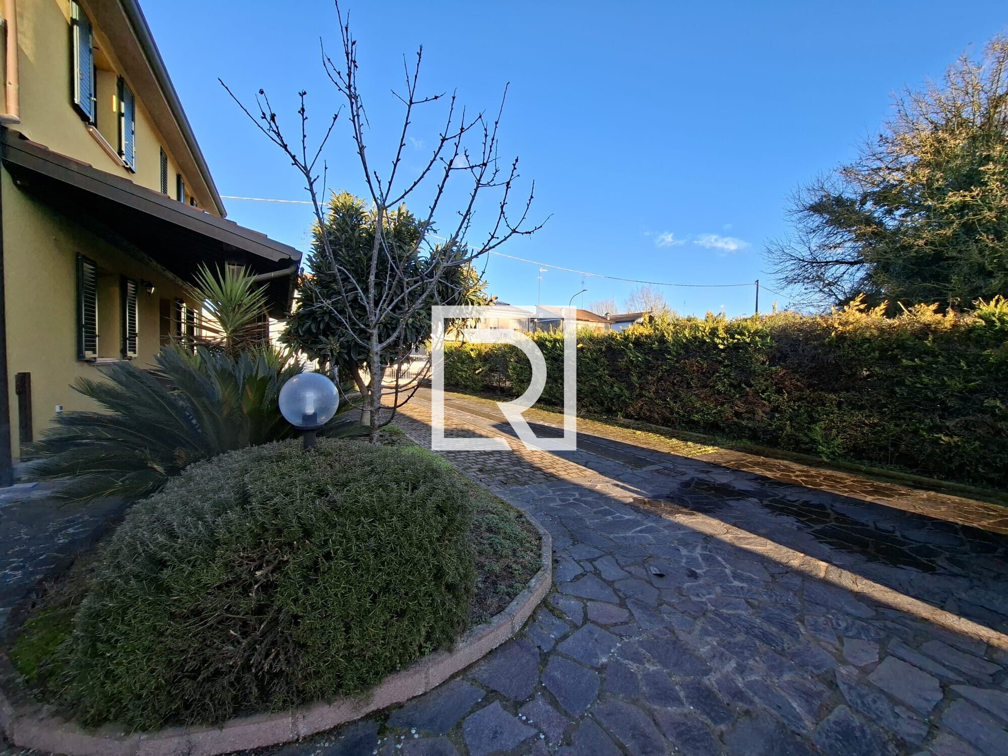 WhatsApp Image 2026-02-06 at 15.43.12 (2)