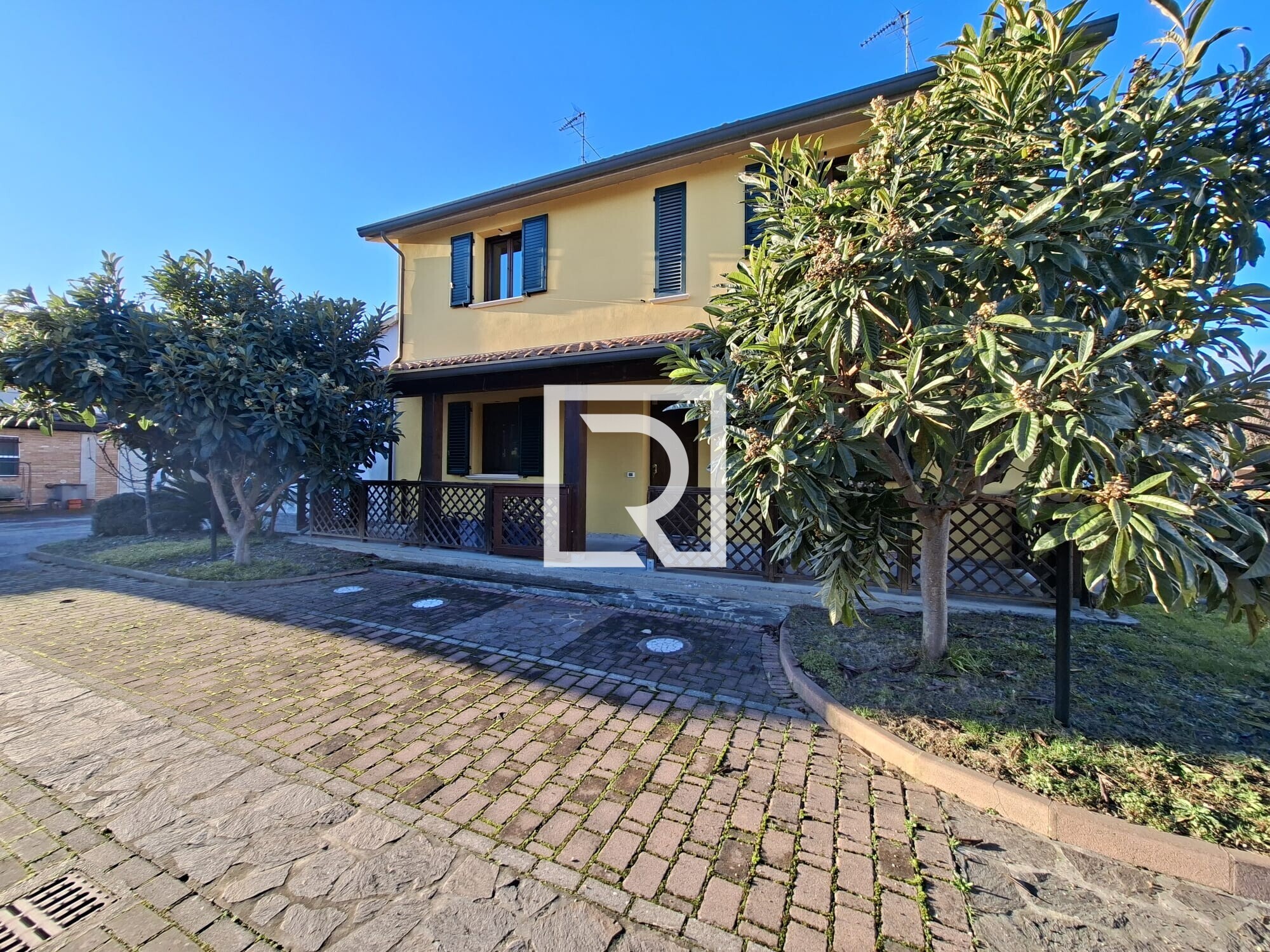 WhatsApp Image 2026-02-06 at 15.43.08