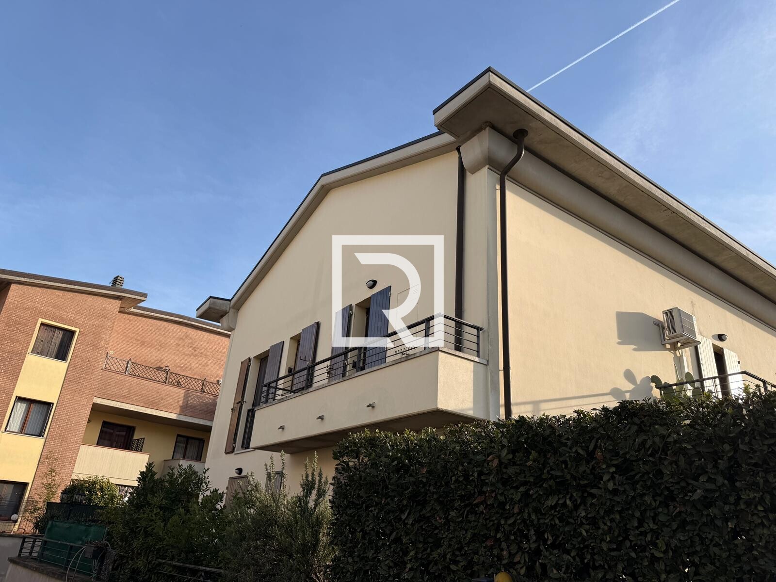 WhatsApp Image 2026-02-13 at 16.23.55