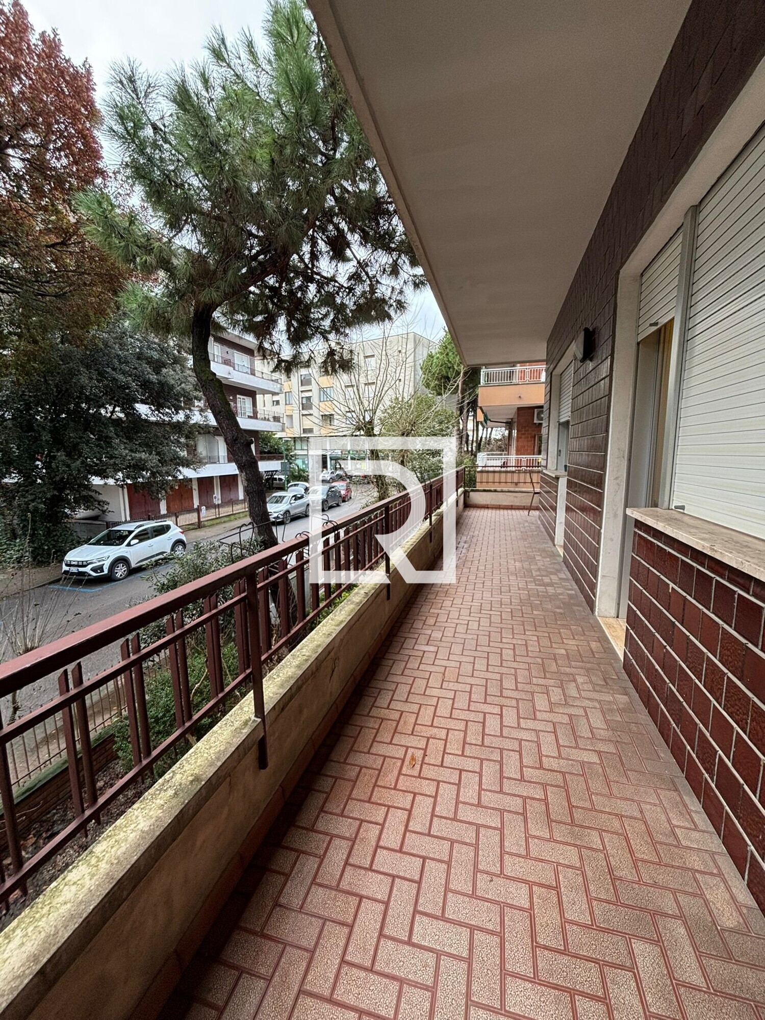 WhatsApp Image 2026-02-11 at 09.30.15 (1)