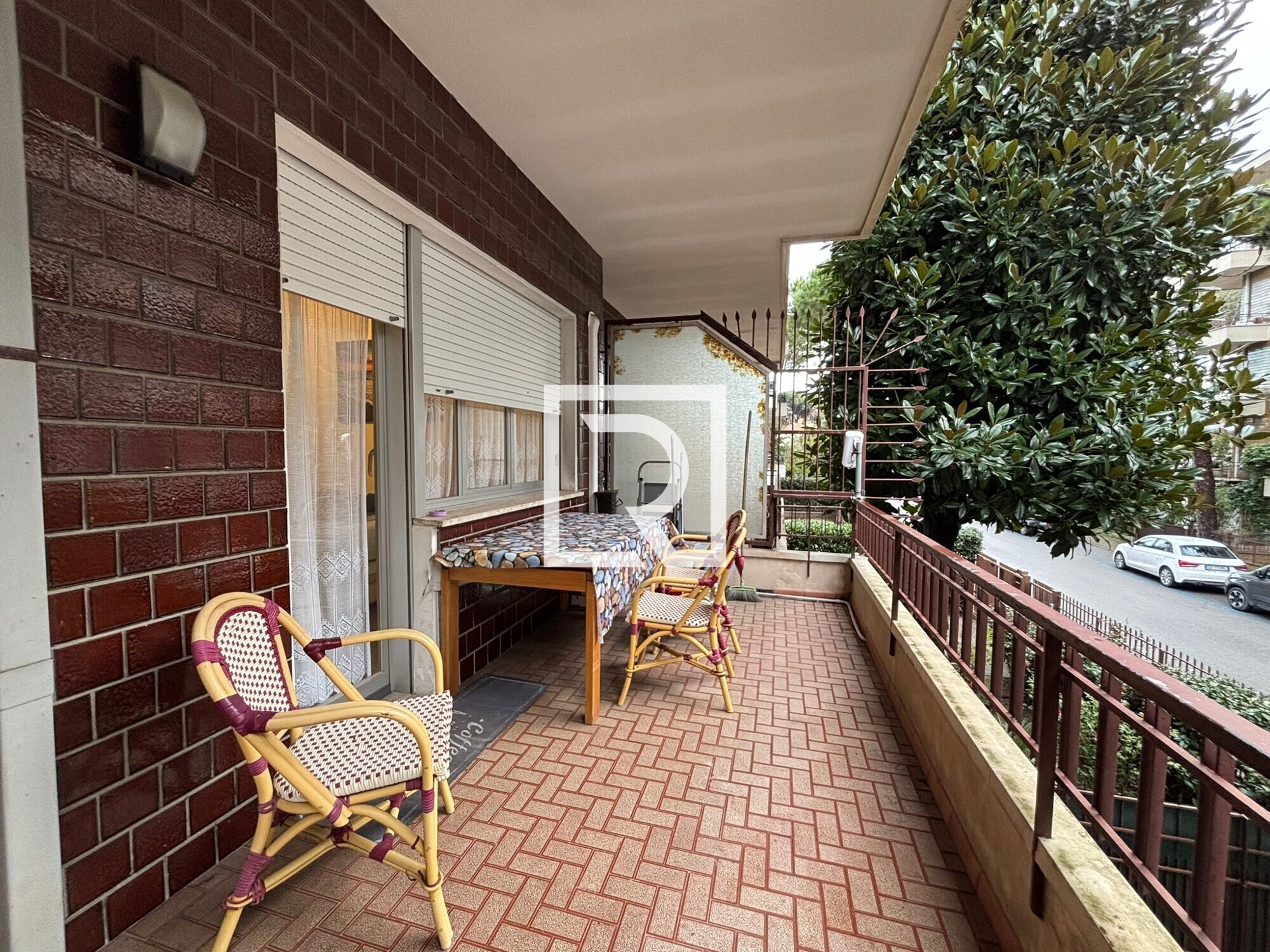 WhatsApp Image 2026-02-11 at 09.30.15 (2)