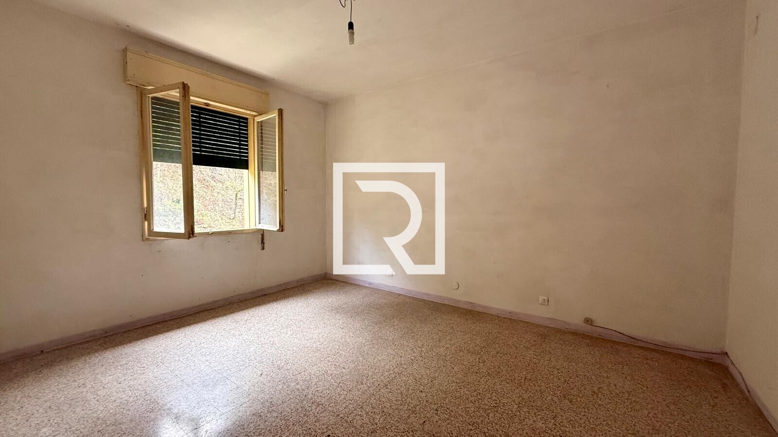 WhatsApp Image 2026-02-10 at 16.07.01