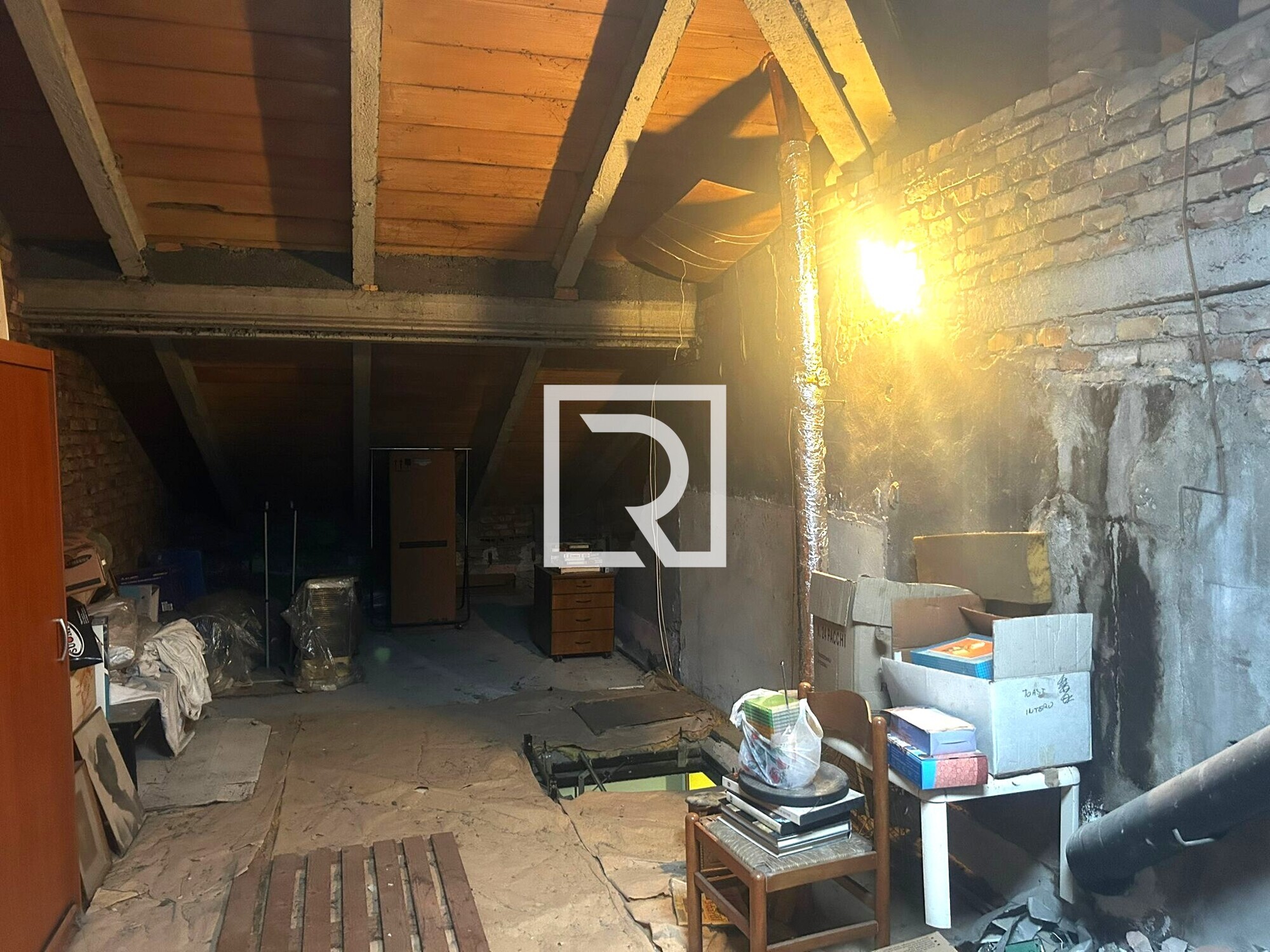 WhatsApp Image 2026-02-02 at 17.02.30 (1)