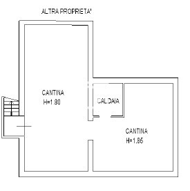 Immagine 2026-02-11 182728