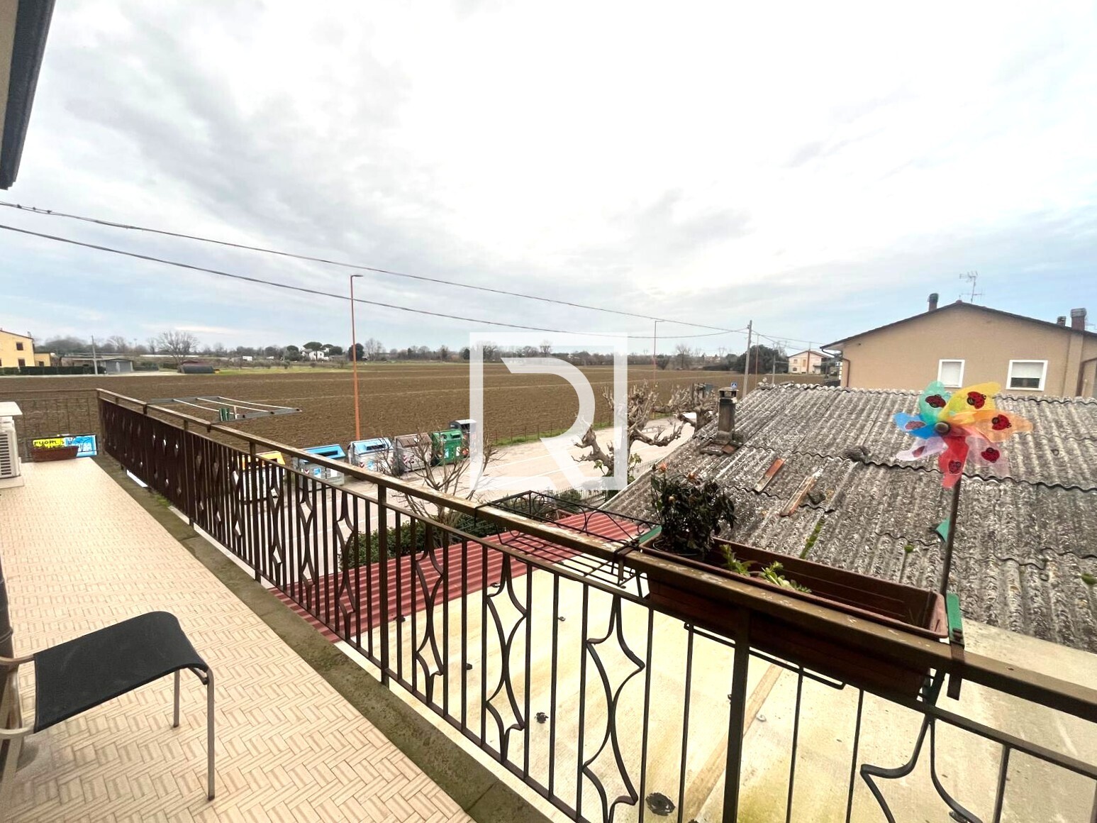 WhatsApp Image 2026-02-10 at 14.50.47