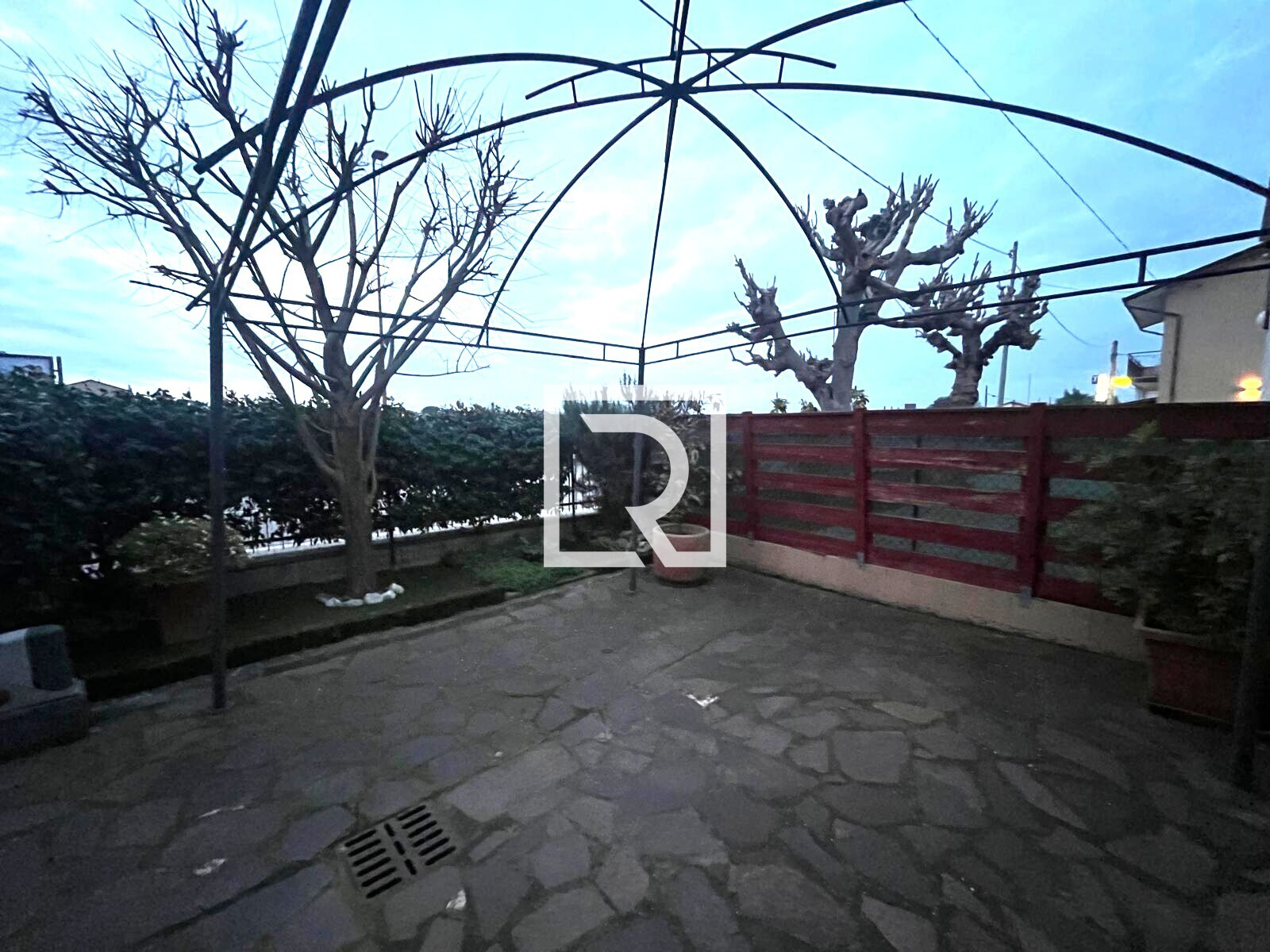 WhatsApp Image 2026-02-10 at 14.50.47 (6)