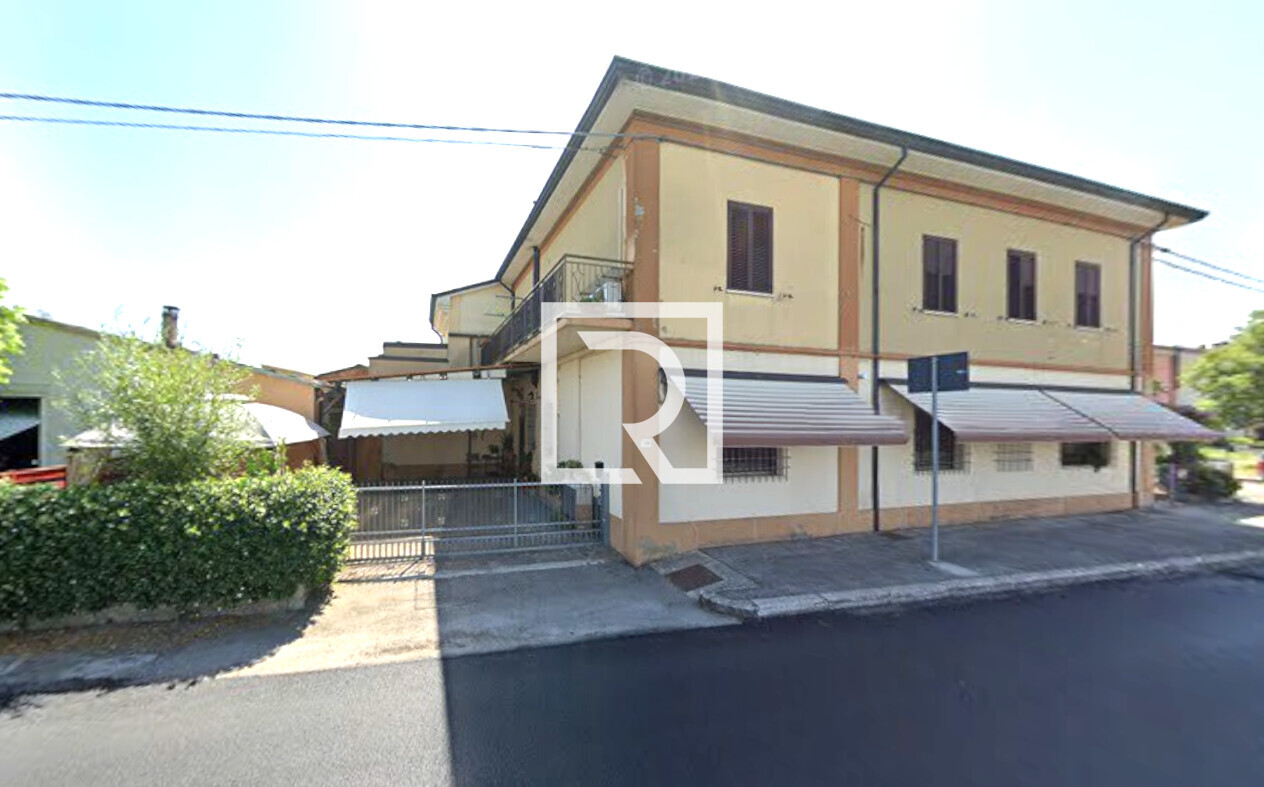 Immagine 2026-02-11 174952