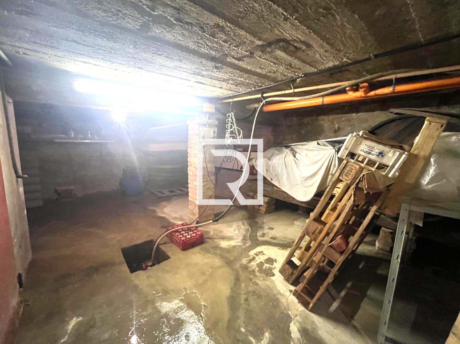 WhatsApp Image 2026-02-10 at 14.50.47 (4)